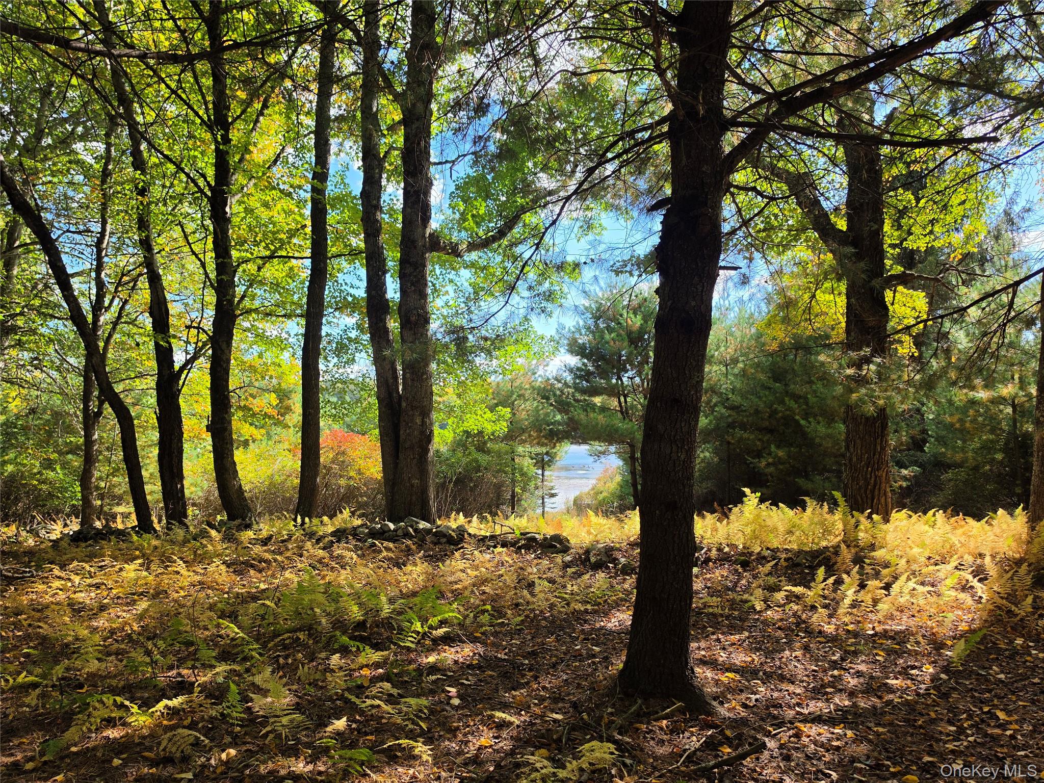 Lot 11 Deer Meadow Road – For Sale photo 31