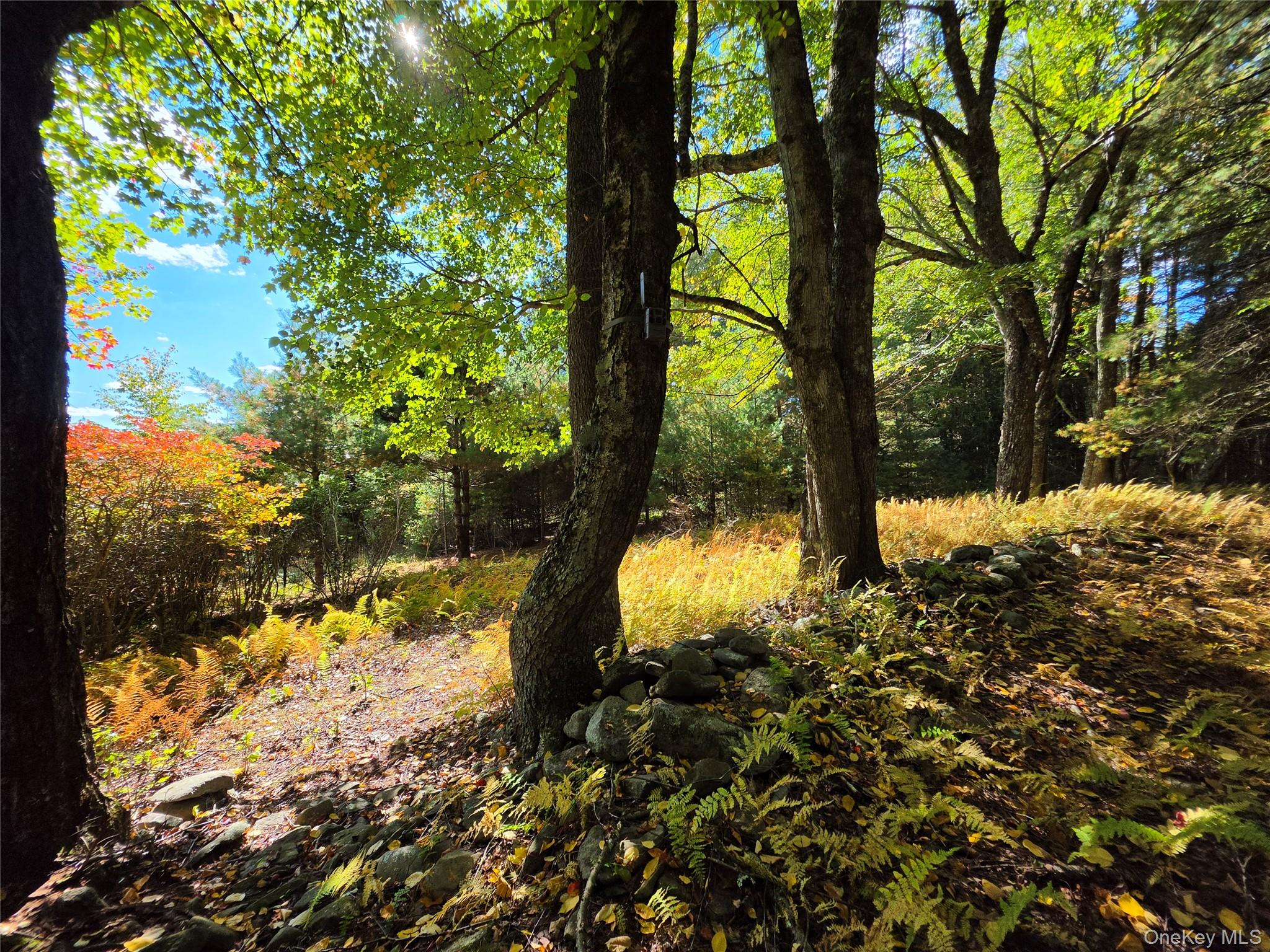 Lot 11 Deer Meadow Road – For Sale photo 15
