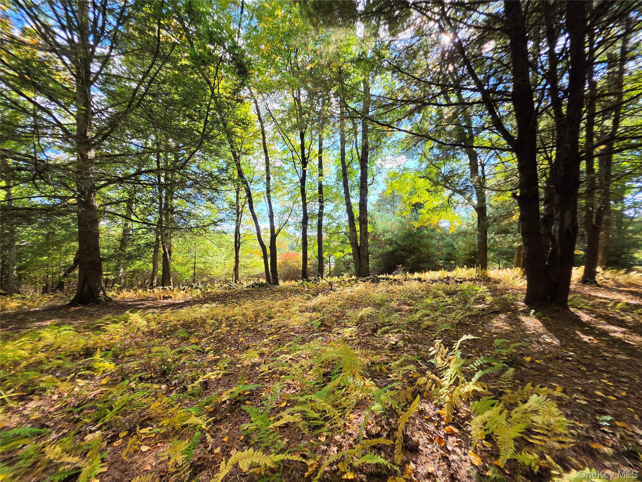 Lot 11 Deer Meadow Road – For Sale photo 34