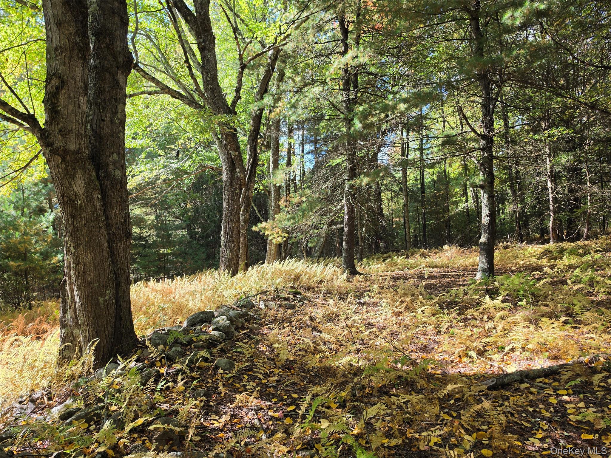 Lot 11 Deer Meadow Road – For Sale photo 17
