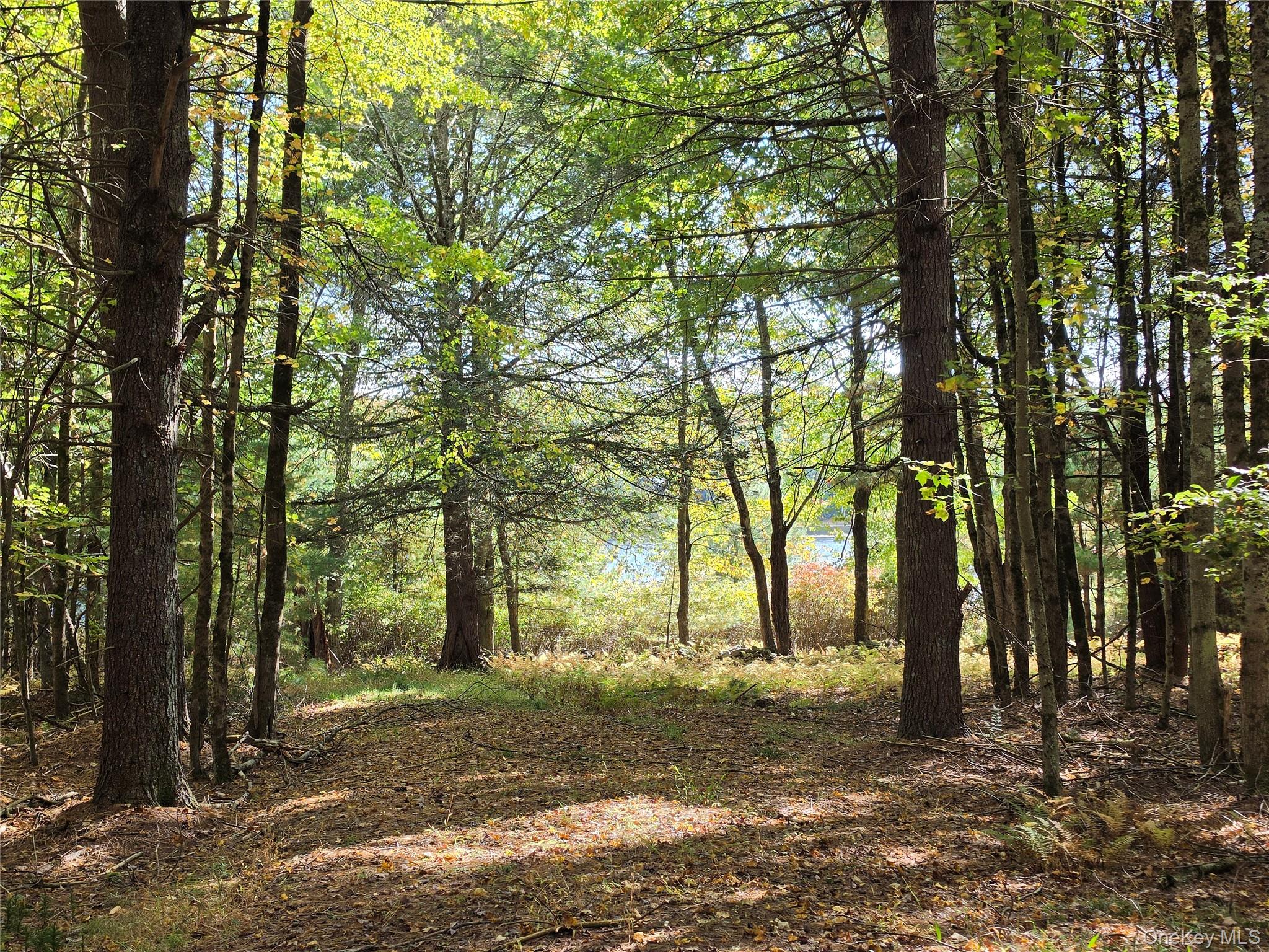 Lot 11 Deer Meadow Road – For Sale photo 23