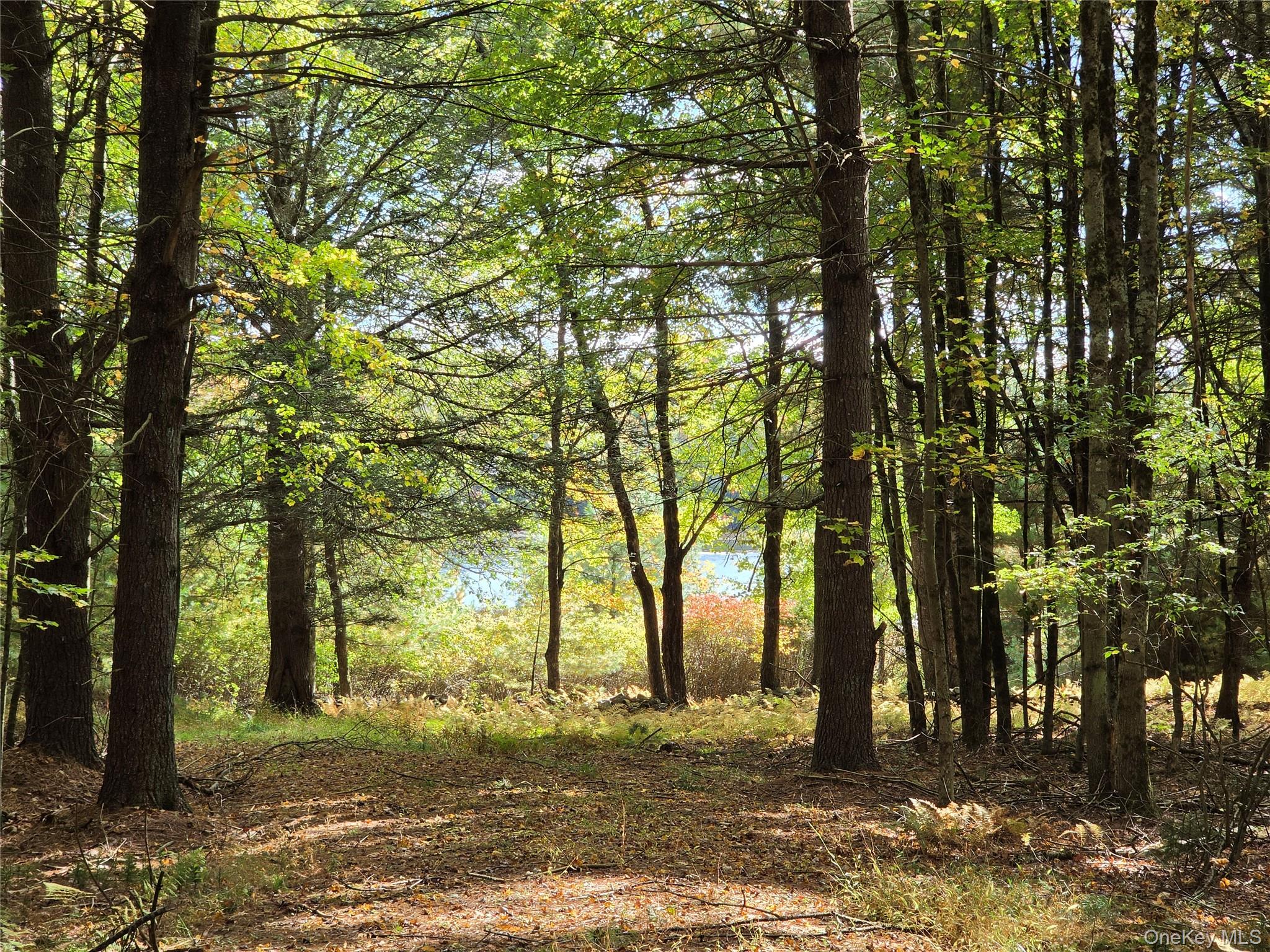 Lot 11 Deer Meadow Road – For Sale photo 37