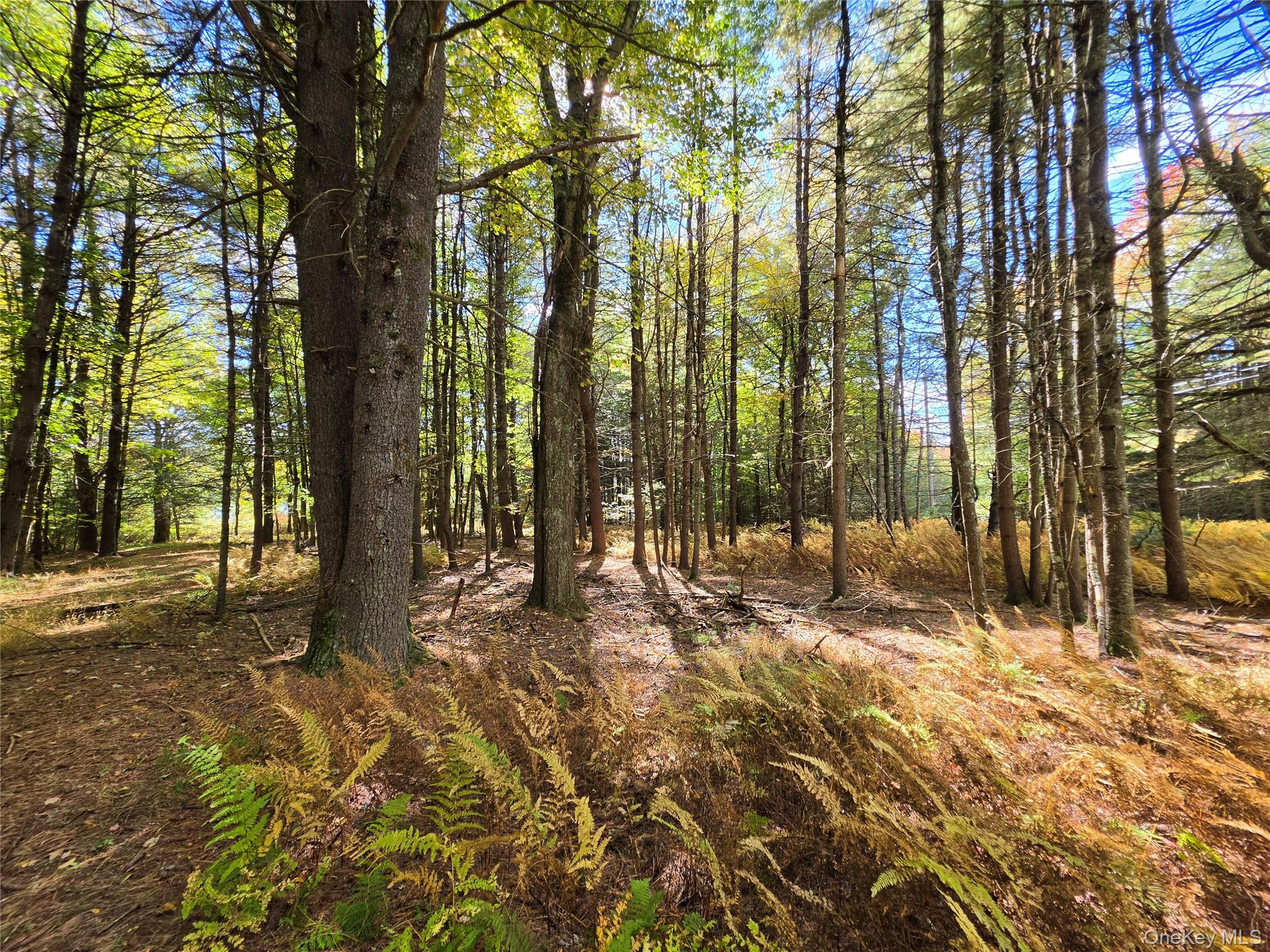 Lot 11 Deer Meadow Road – For Sale photo 22