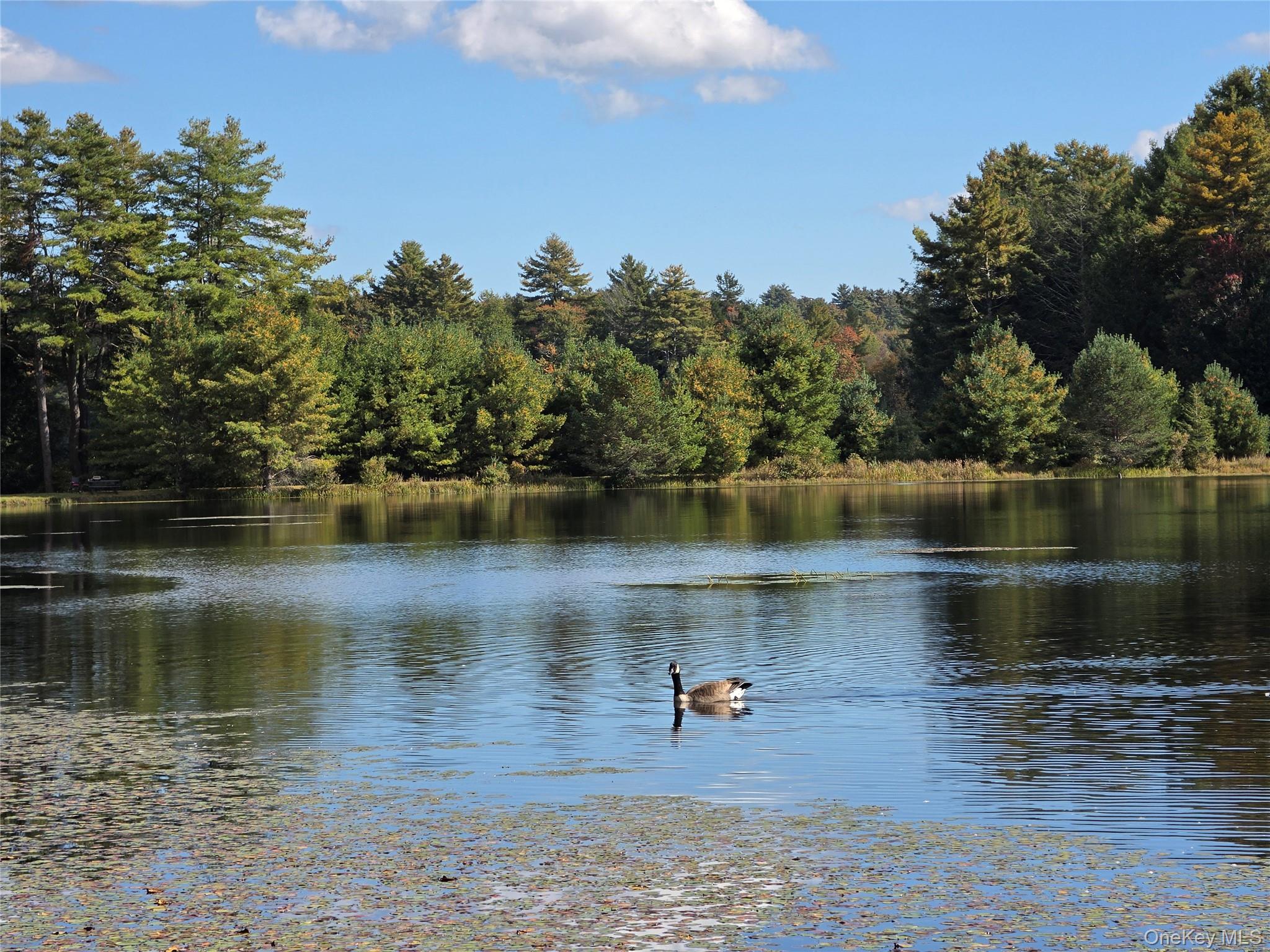Lot 11 Deer Meadow Road – For Sale