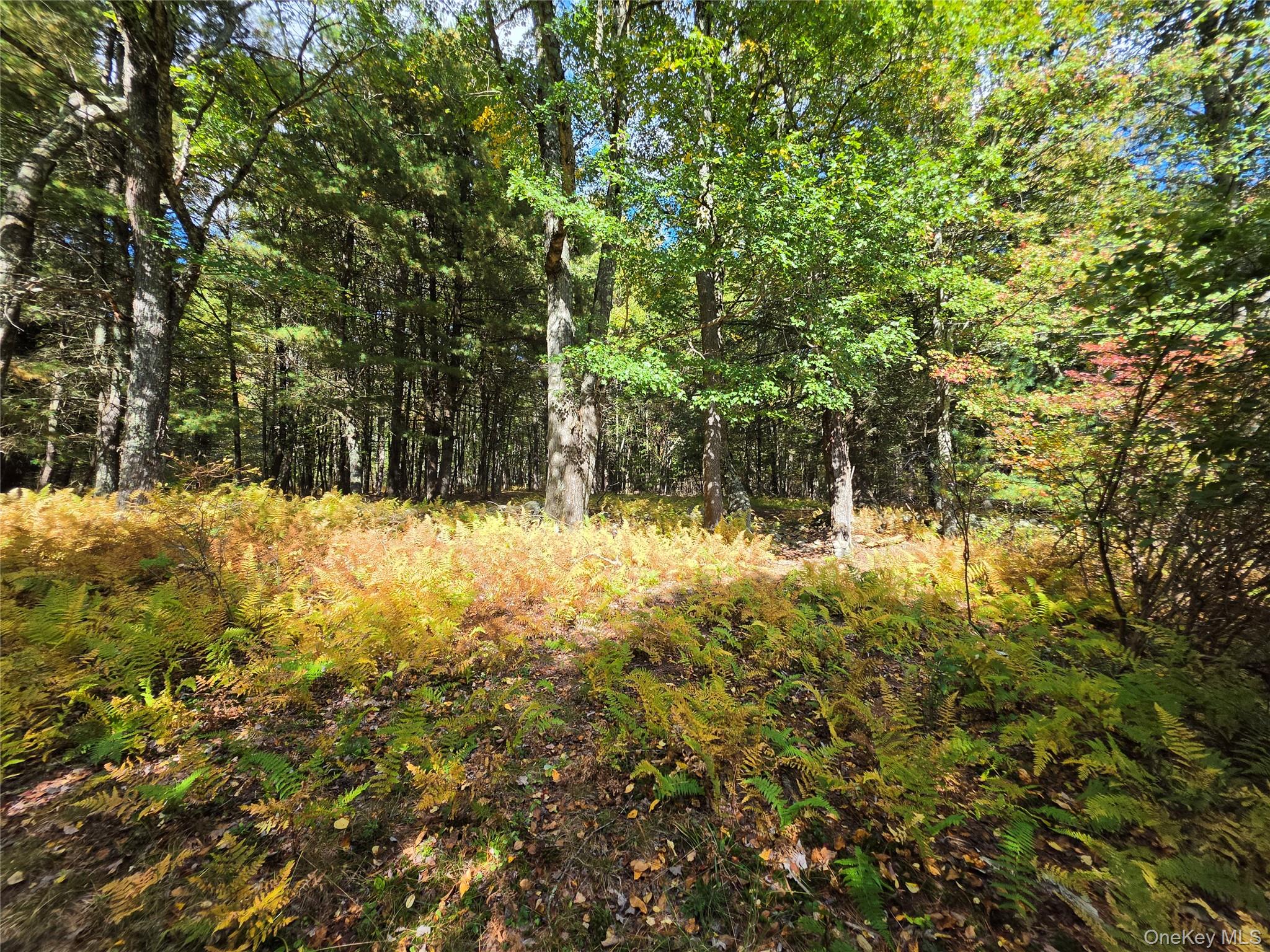 Lot 11 Deer Meadow Road – For Sale photo 26