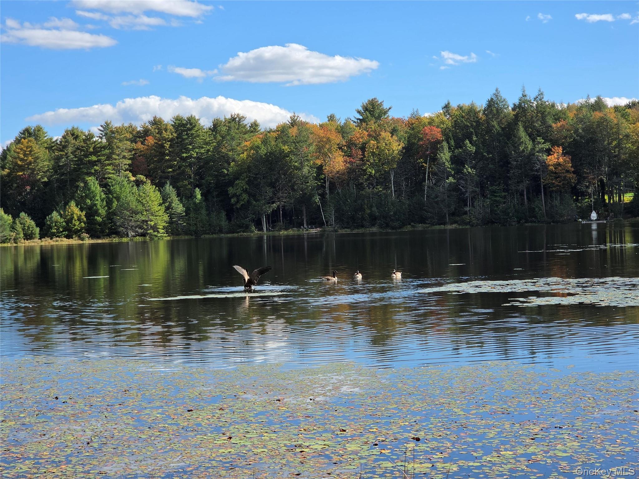 Lot 11 Deer Meadow Road – For Sale photo 27