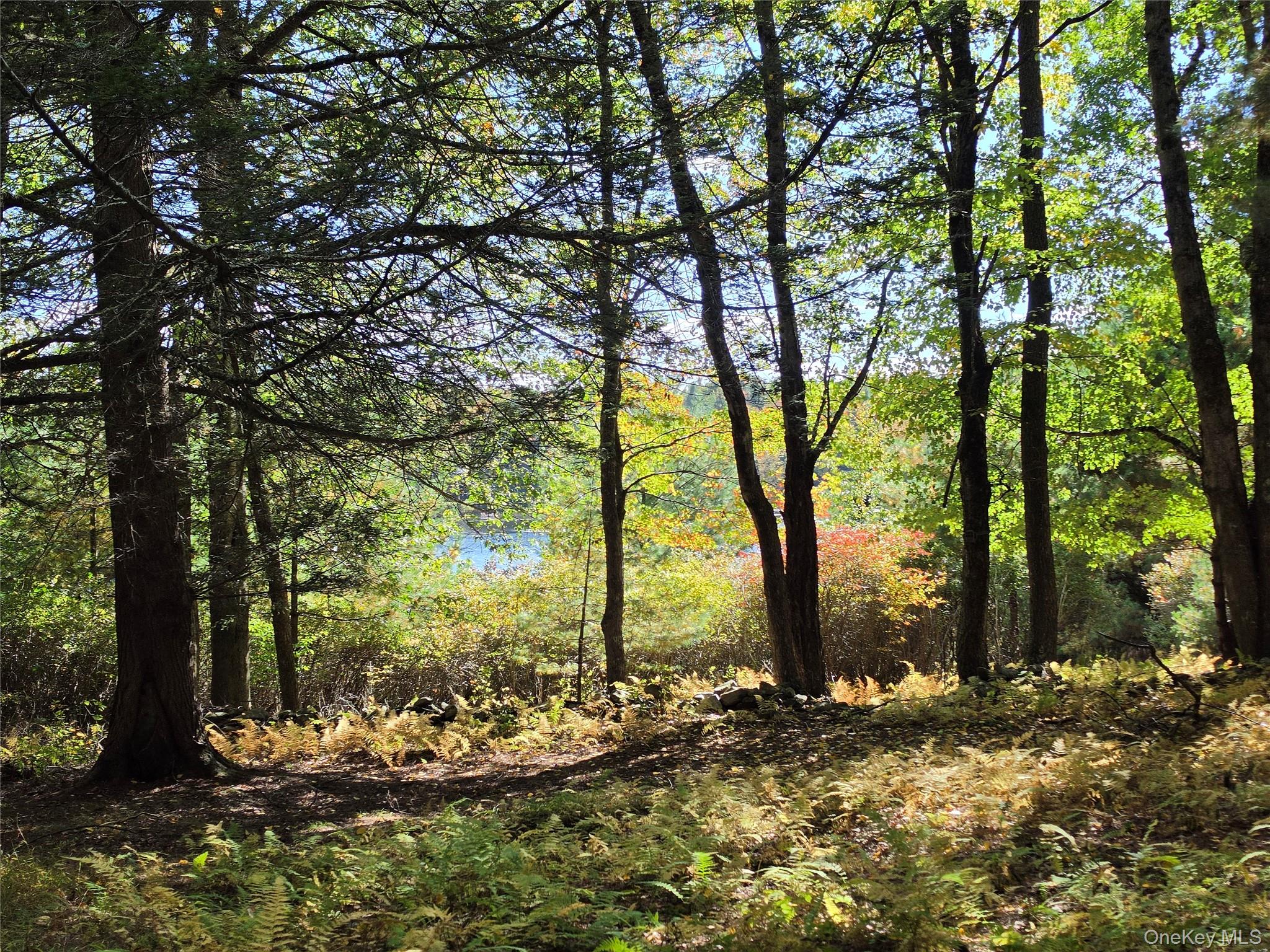 Lot 11 Deer Meadow Road – For Sale photo 24