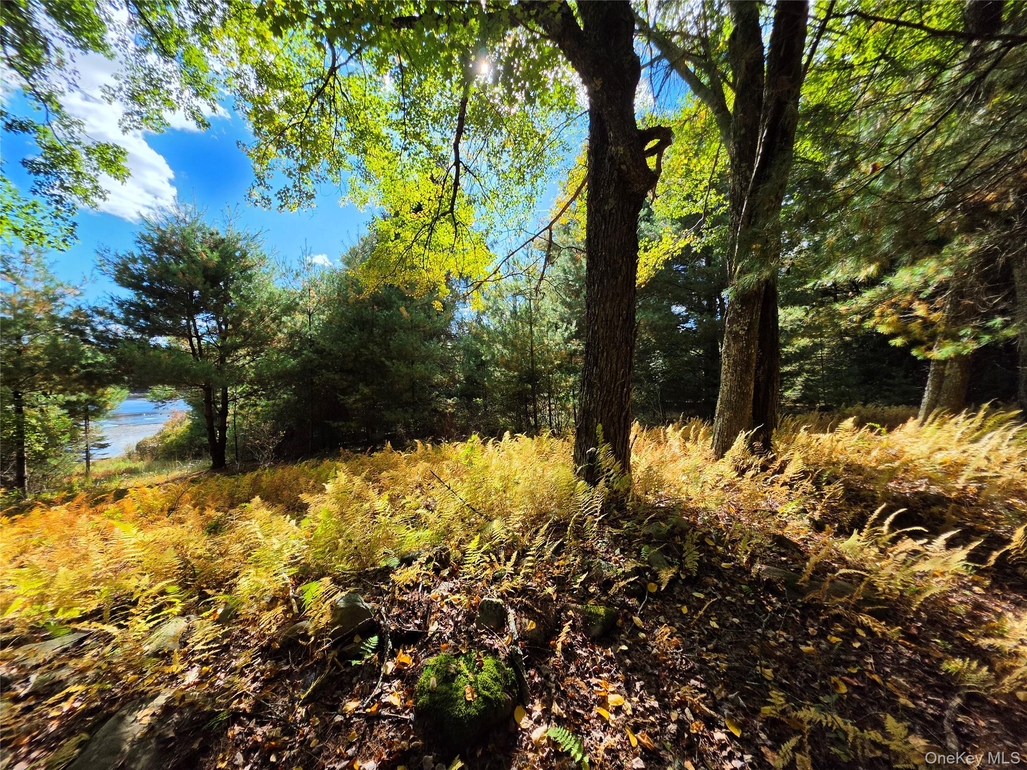 Lot 11 Deer Meadow Road – For Sale photo 29