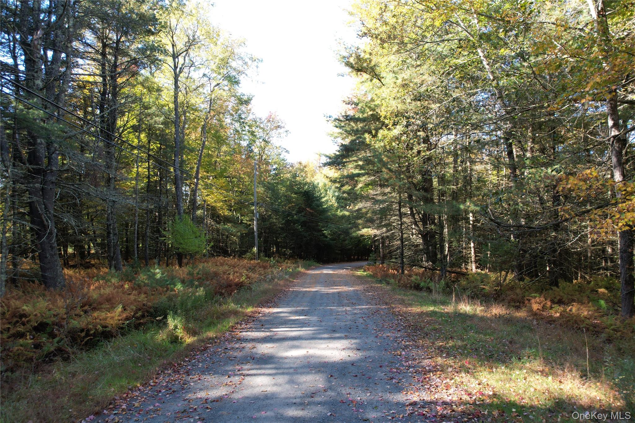 Lot 11 Deer Meadow Road – For Sale photo 9