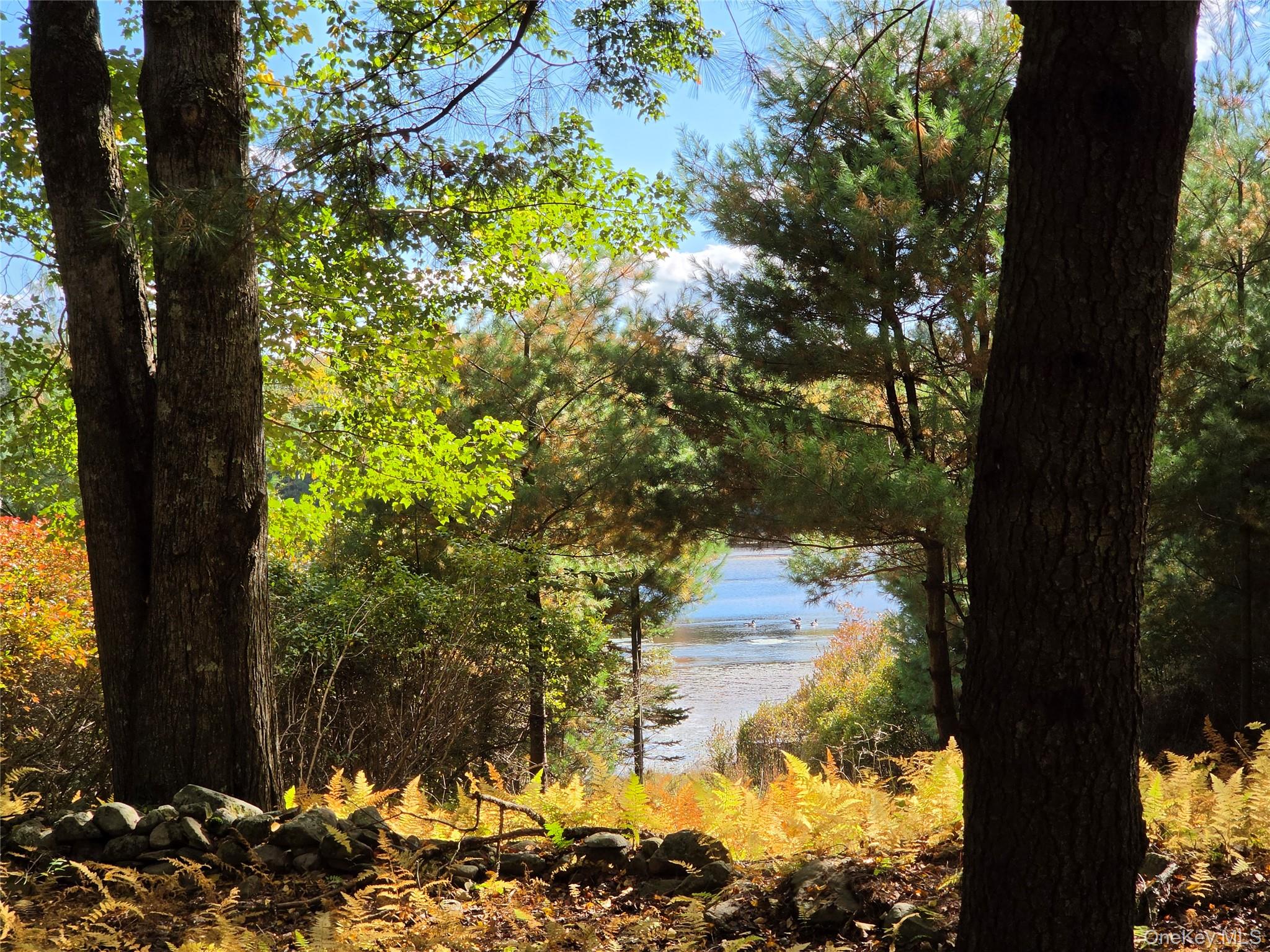 Lot 11 Deer Meadow Road – For Sale photo 6