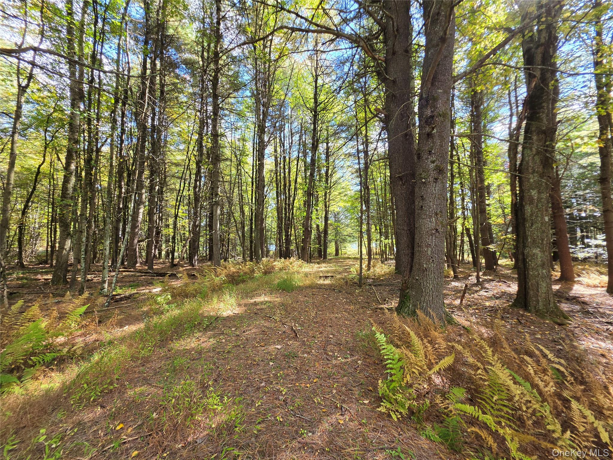 Lot 11 Deer Meadow Road – For Sale photo 10