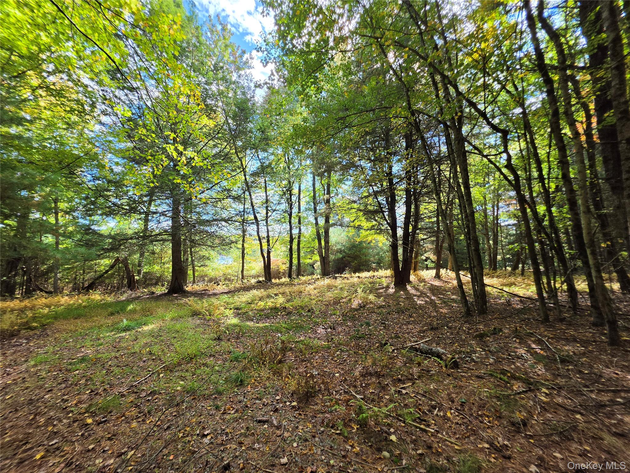 Lot 11 Deer Meadow Road – For Sale photo 35