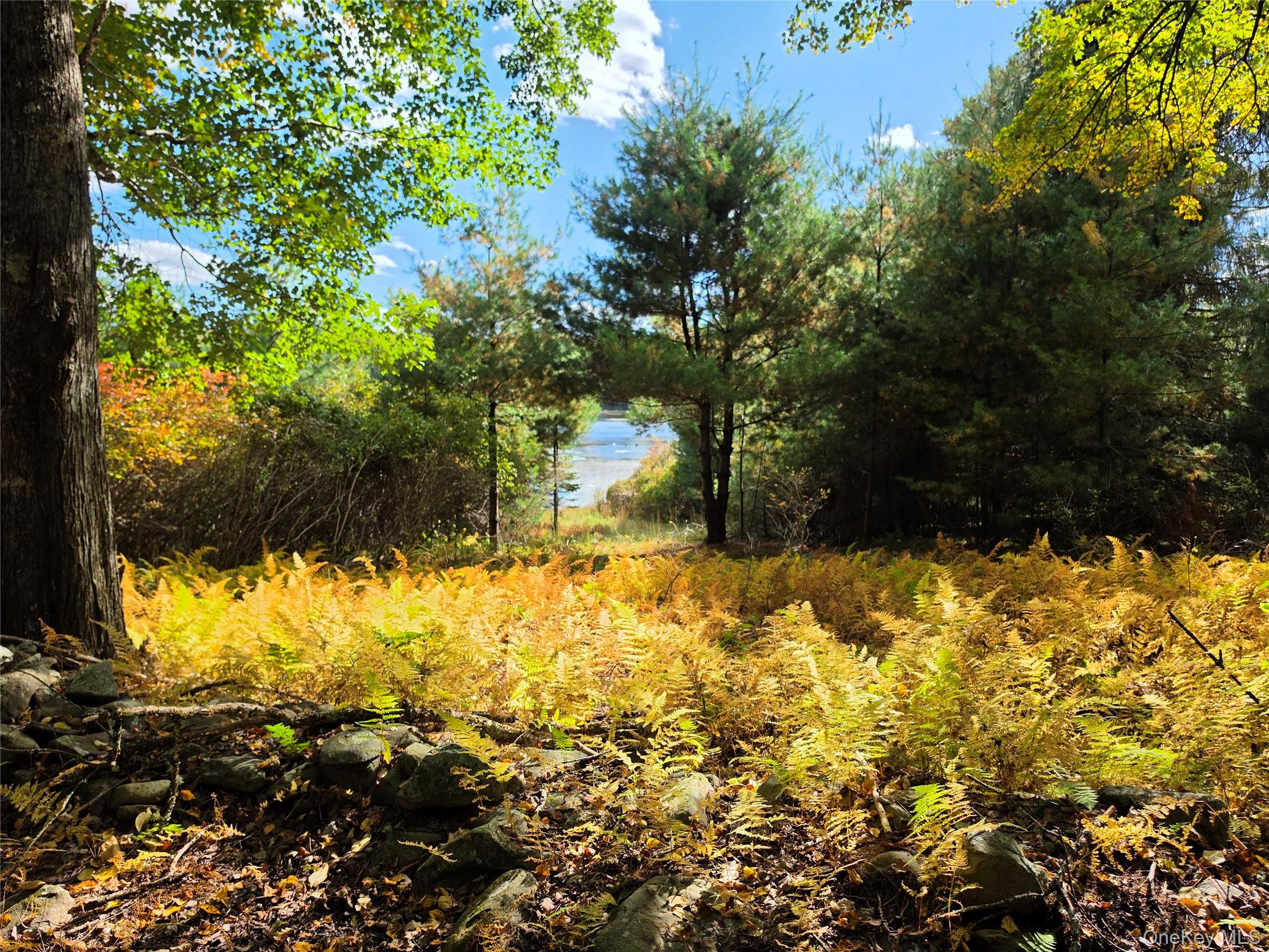 Lot 11 Deer Meadow Road – For Sale photo 28
