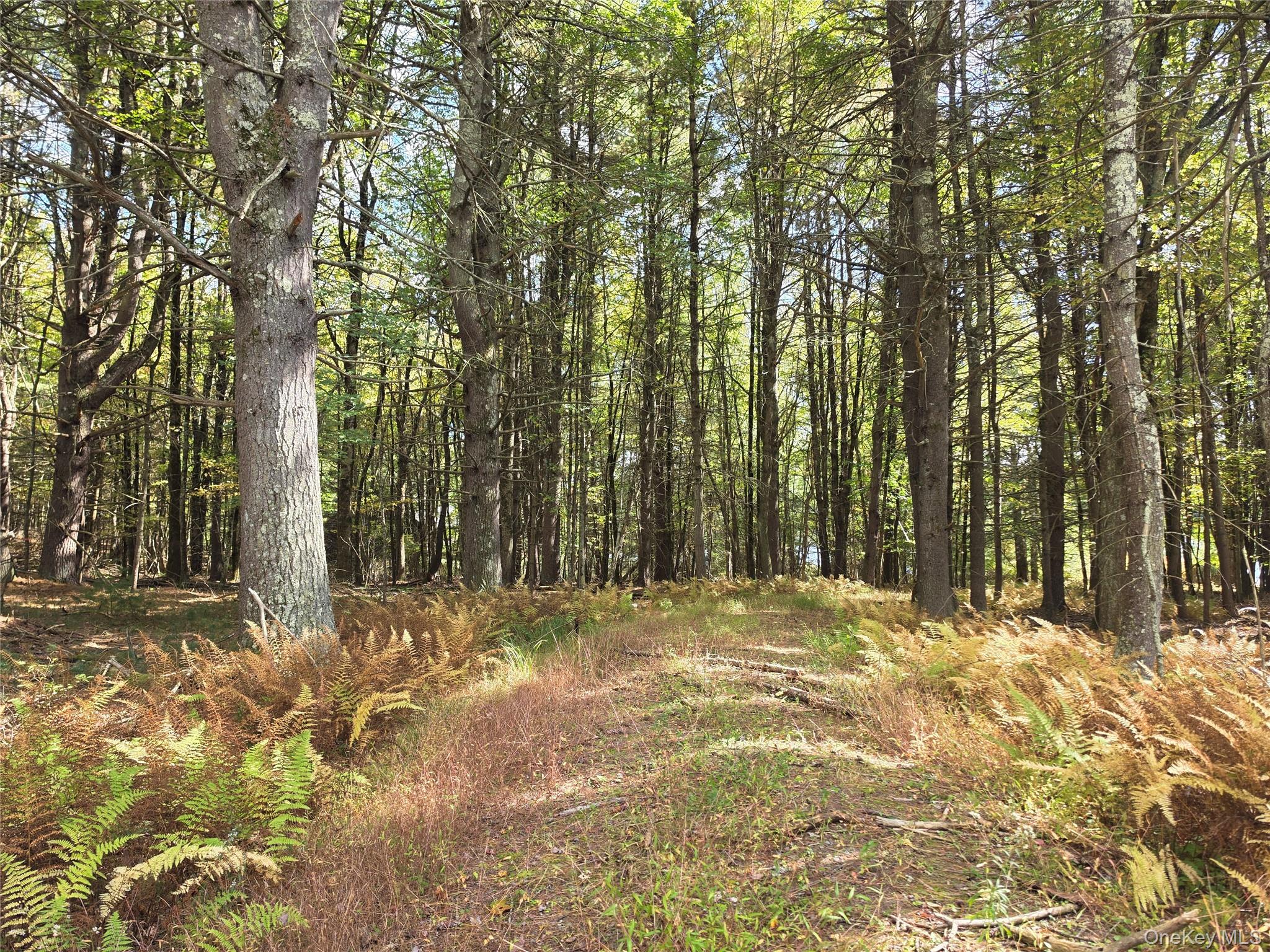 Lot 11 Deer Meadow Road – For Sale photo 21