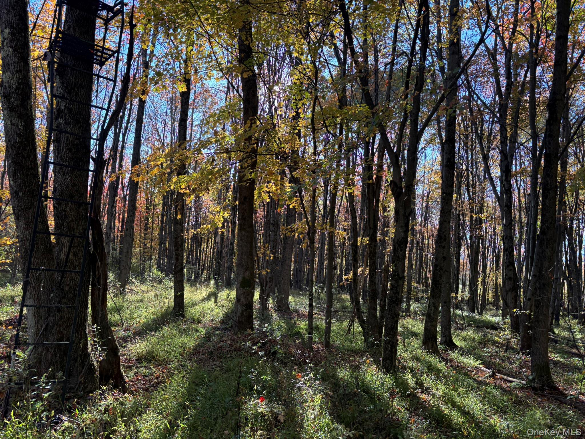 ROW off Chaffee Road – For Sale photo 2