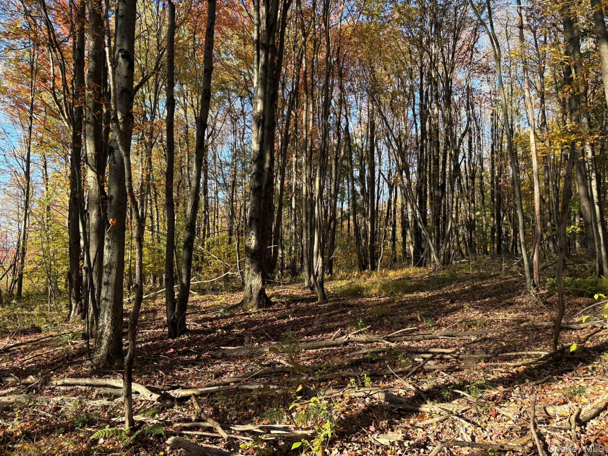 ROW off Chaffee Road – For Sale photo 14