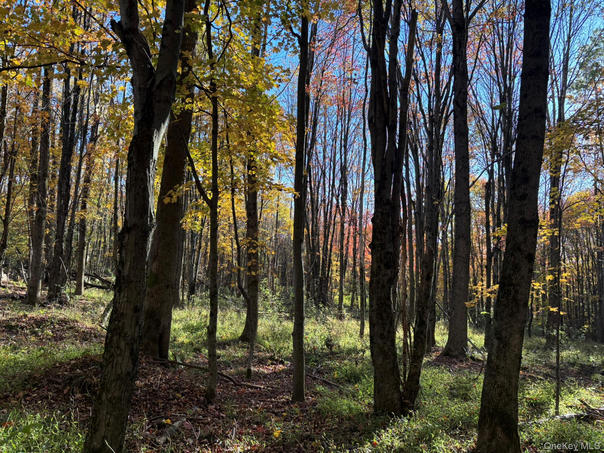 ROW off Chaffee Road – For Sale photo 4