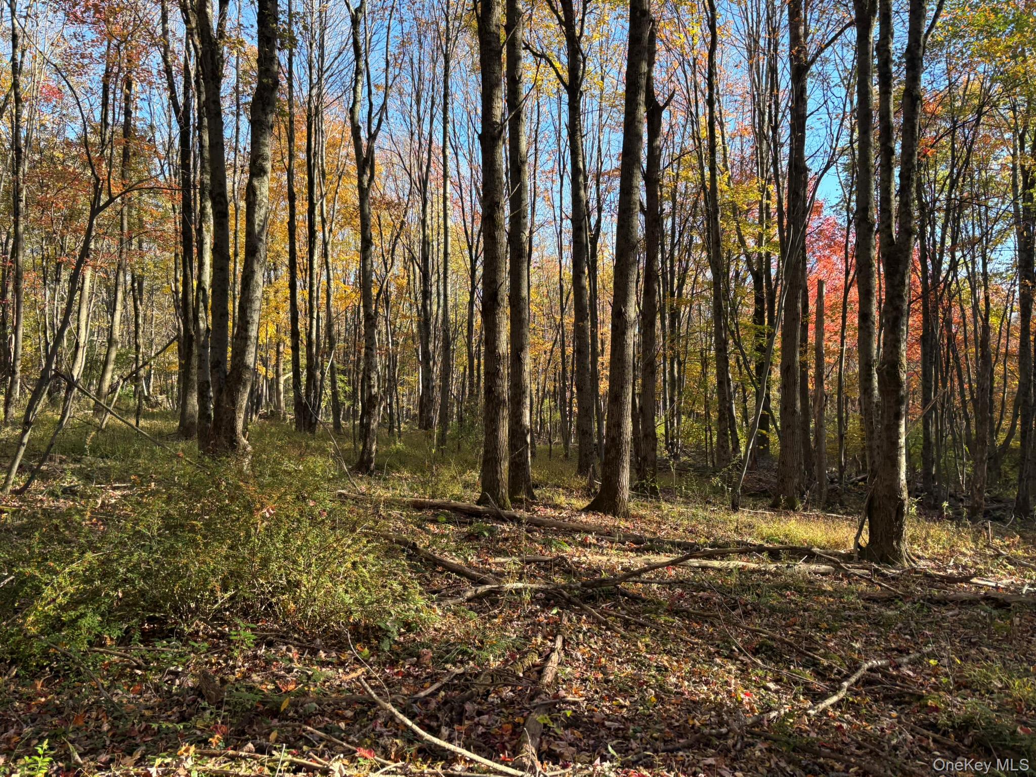 ROW off Chaffee Road – For Sale photo 10