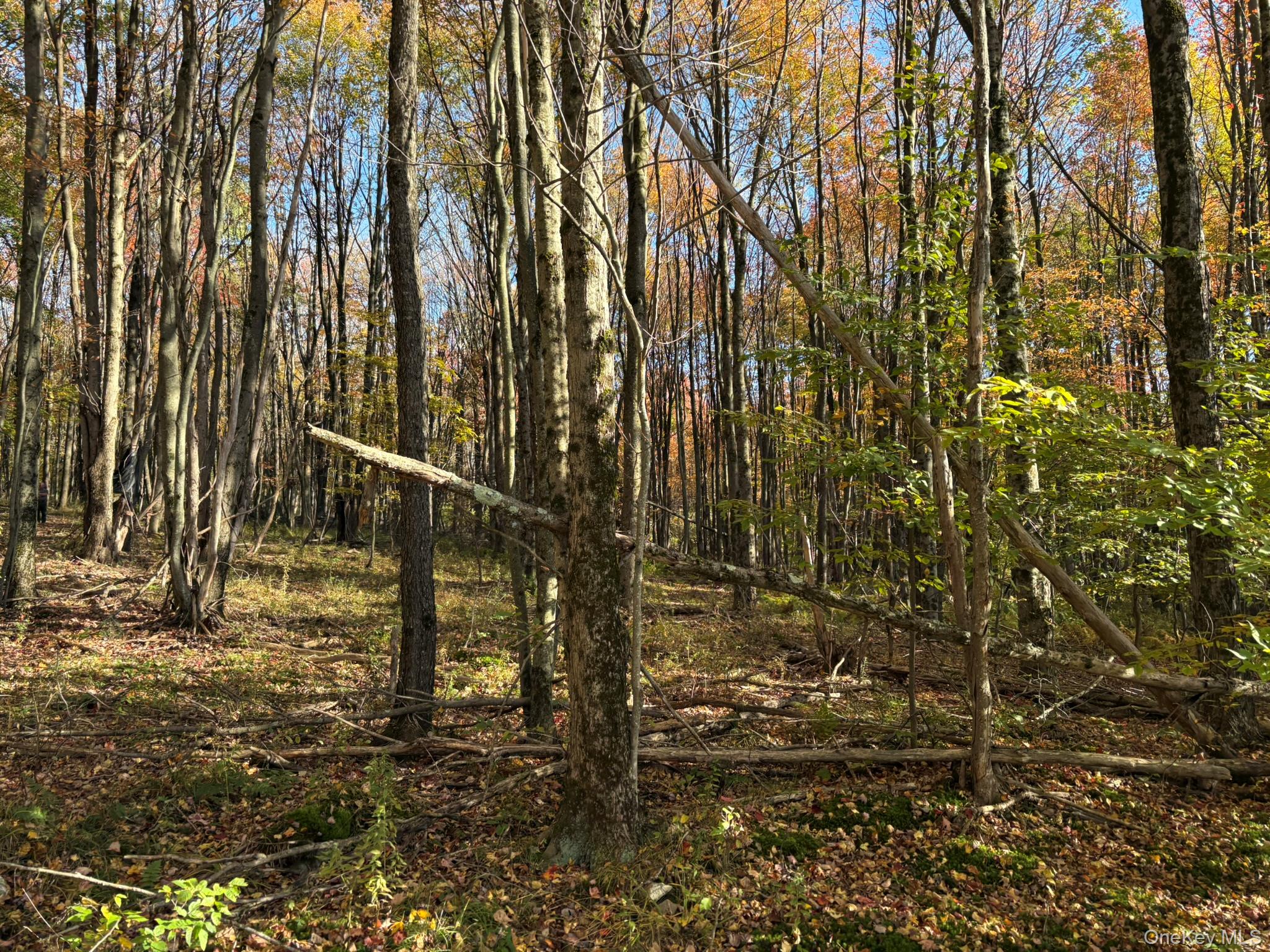 ROW off Chaffee Road – For Sale photo 19