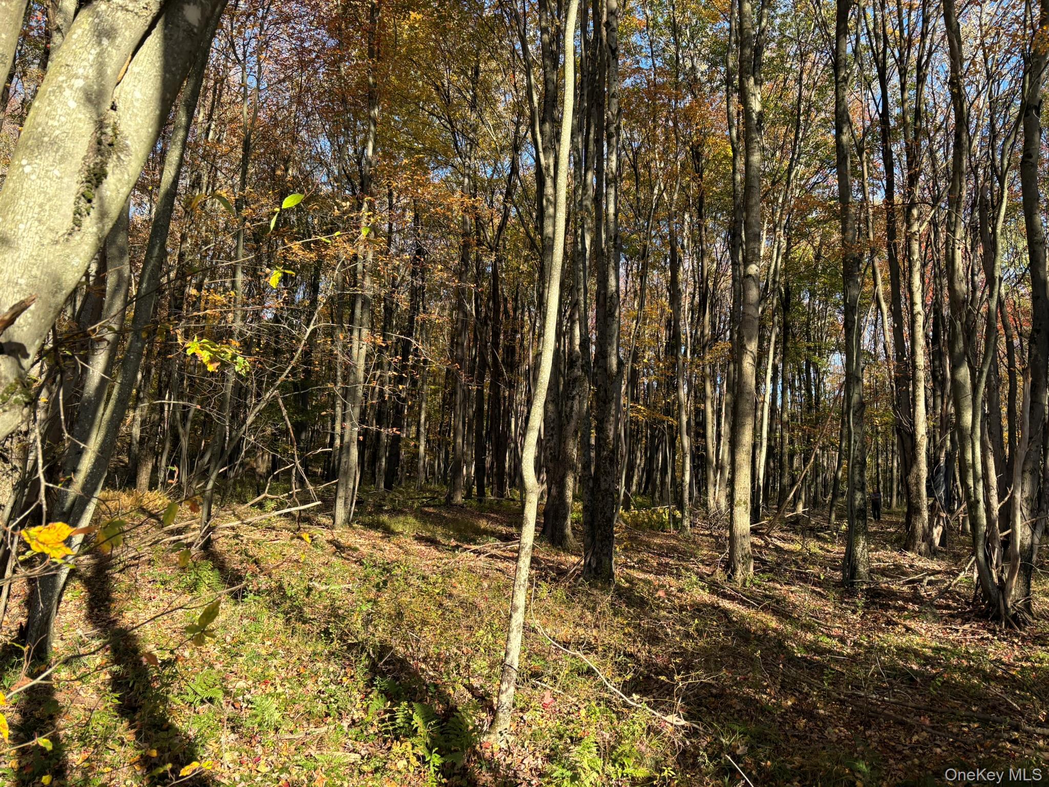 ROW off Chaffee Road – For Sale photo 20