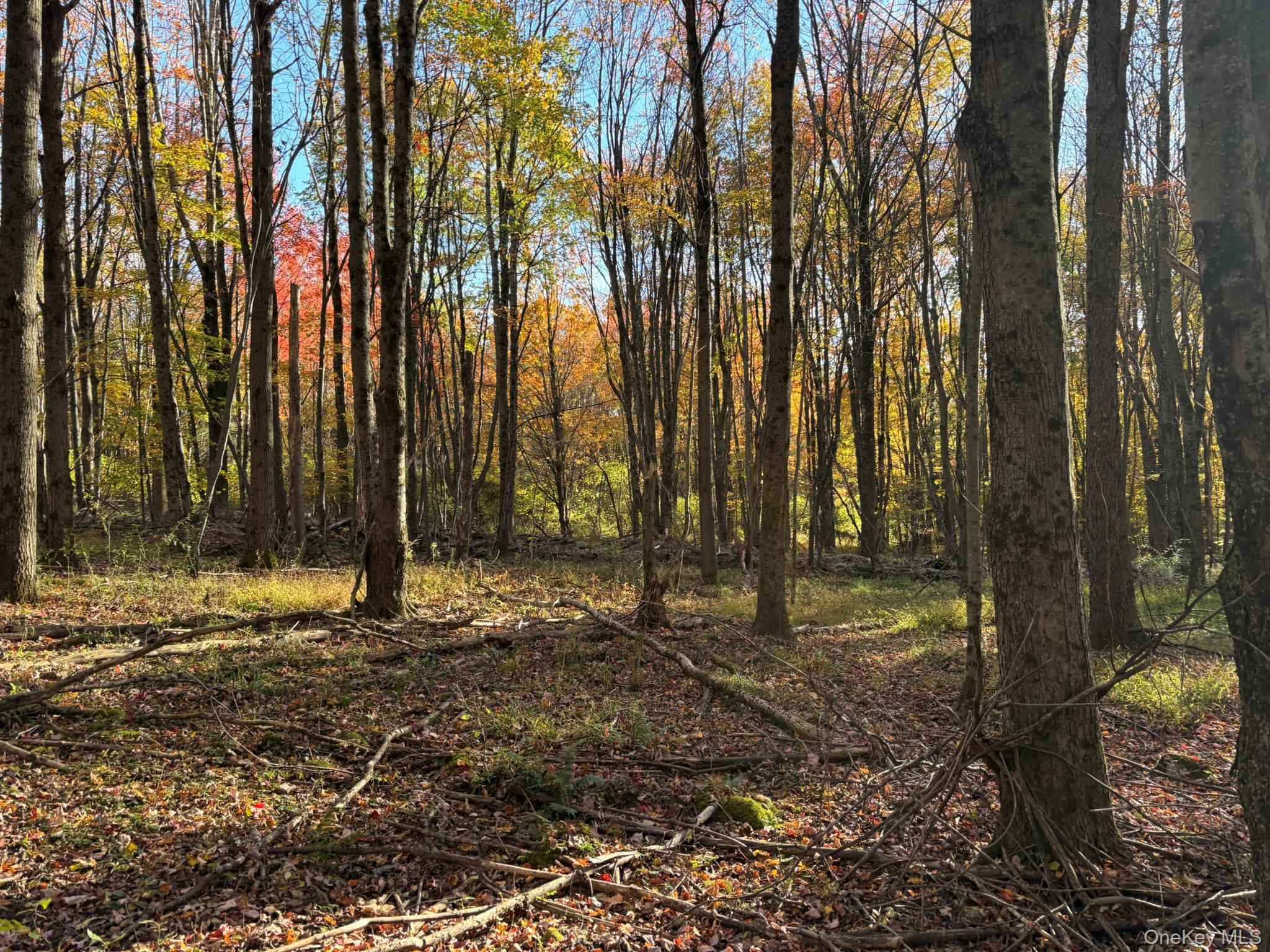 ROW off Chaffee Road – For Sale photo 9