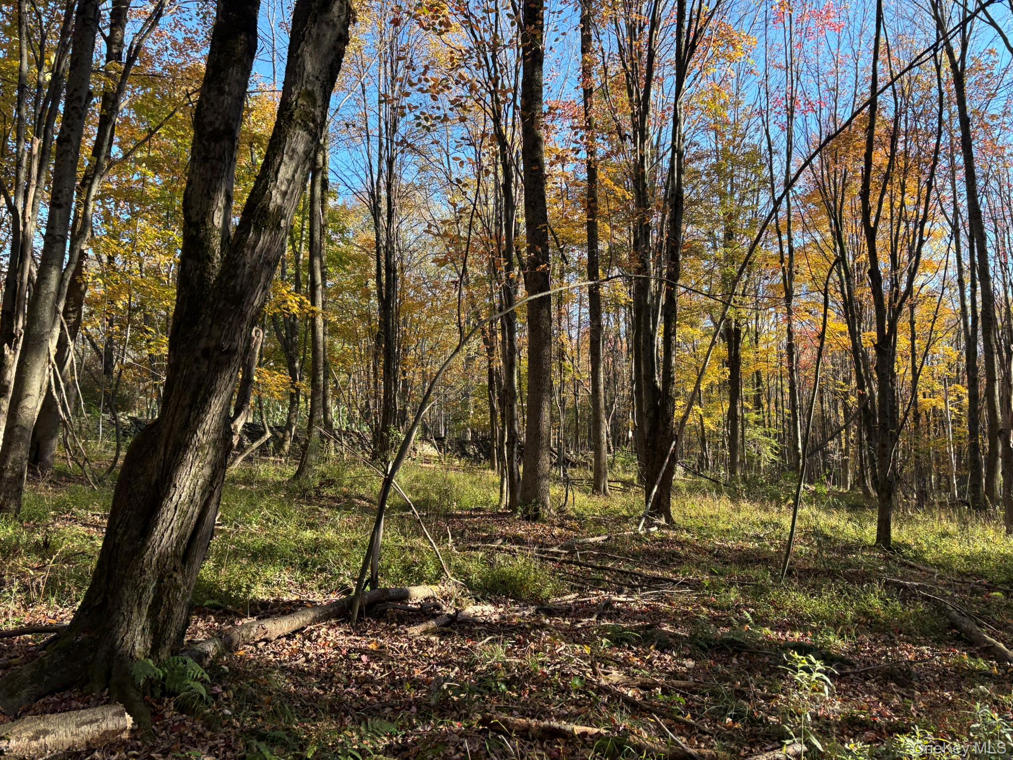 ROW off Chaffee Road – For Sale photo 8