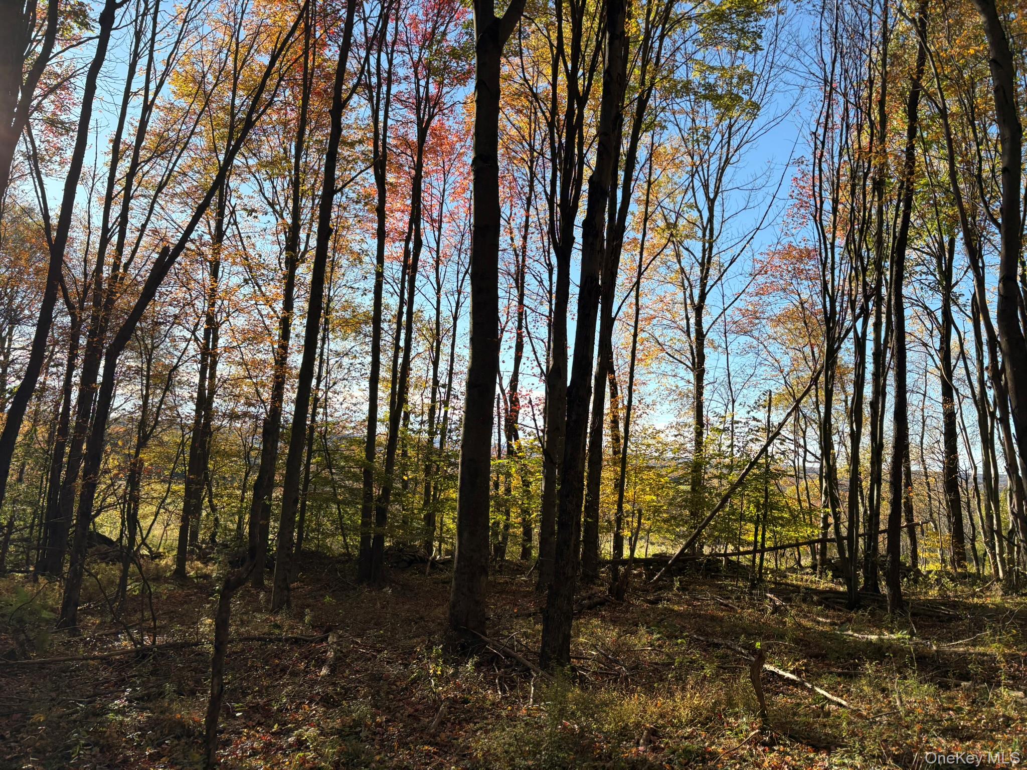 ROW off Chaffee Road – For Sale photo 13