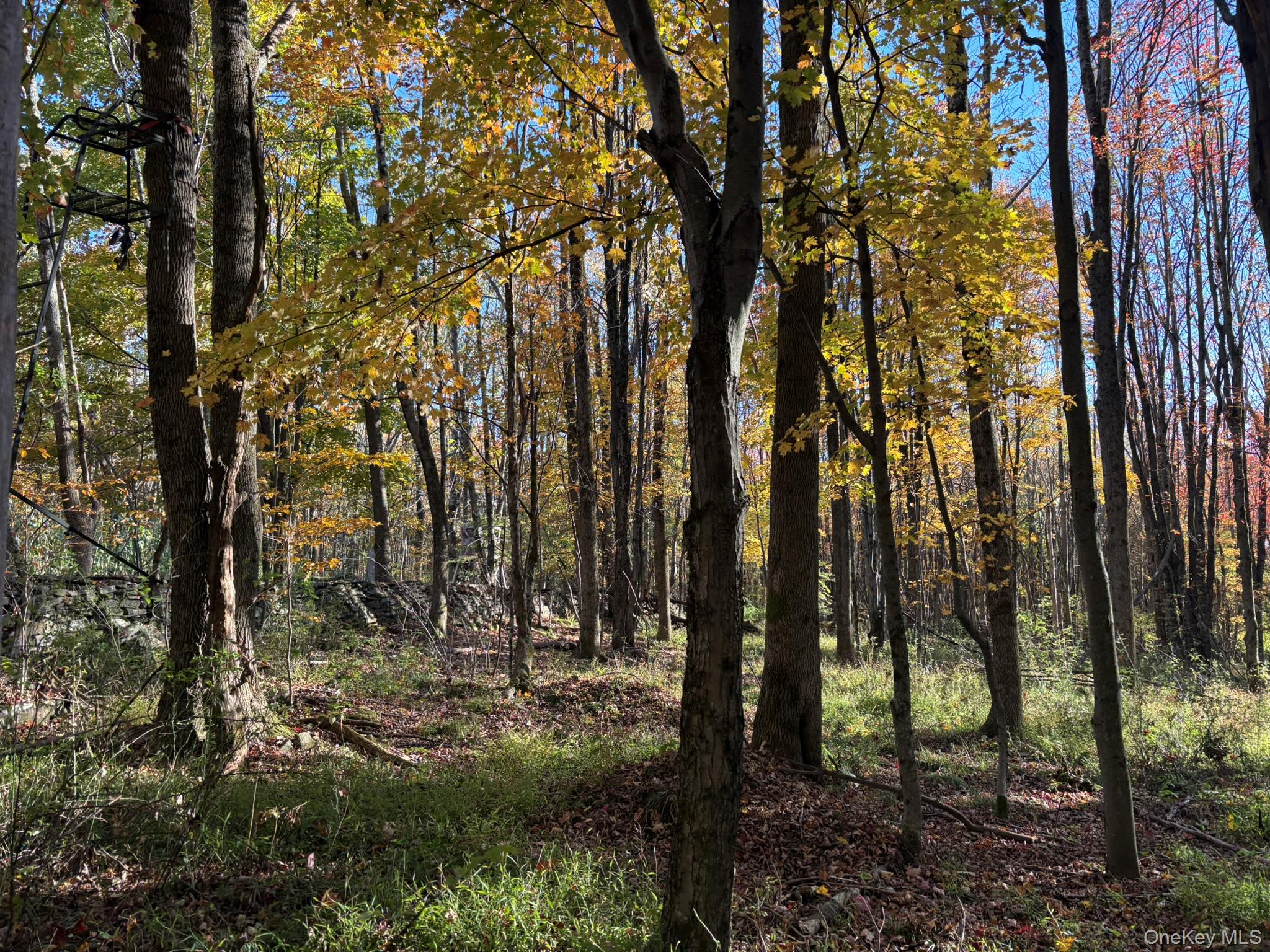 ROW off Chaffee Road – For Sale photo 5