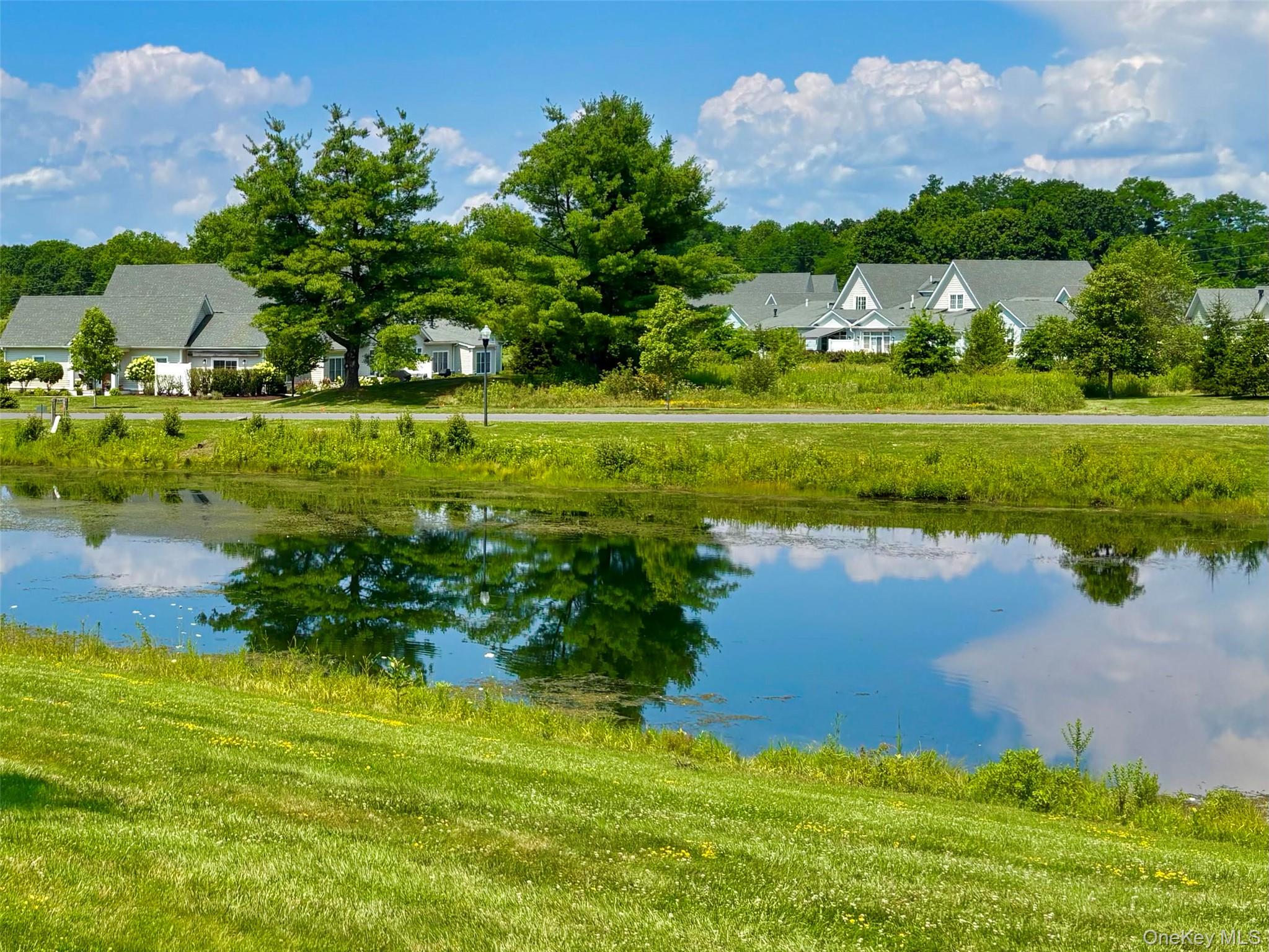 202 Cinnamon Circle – For Sale photo 29