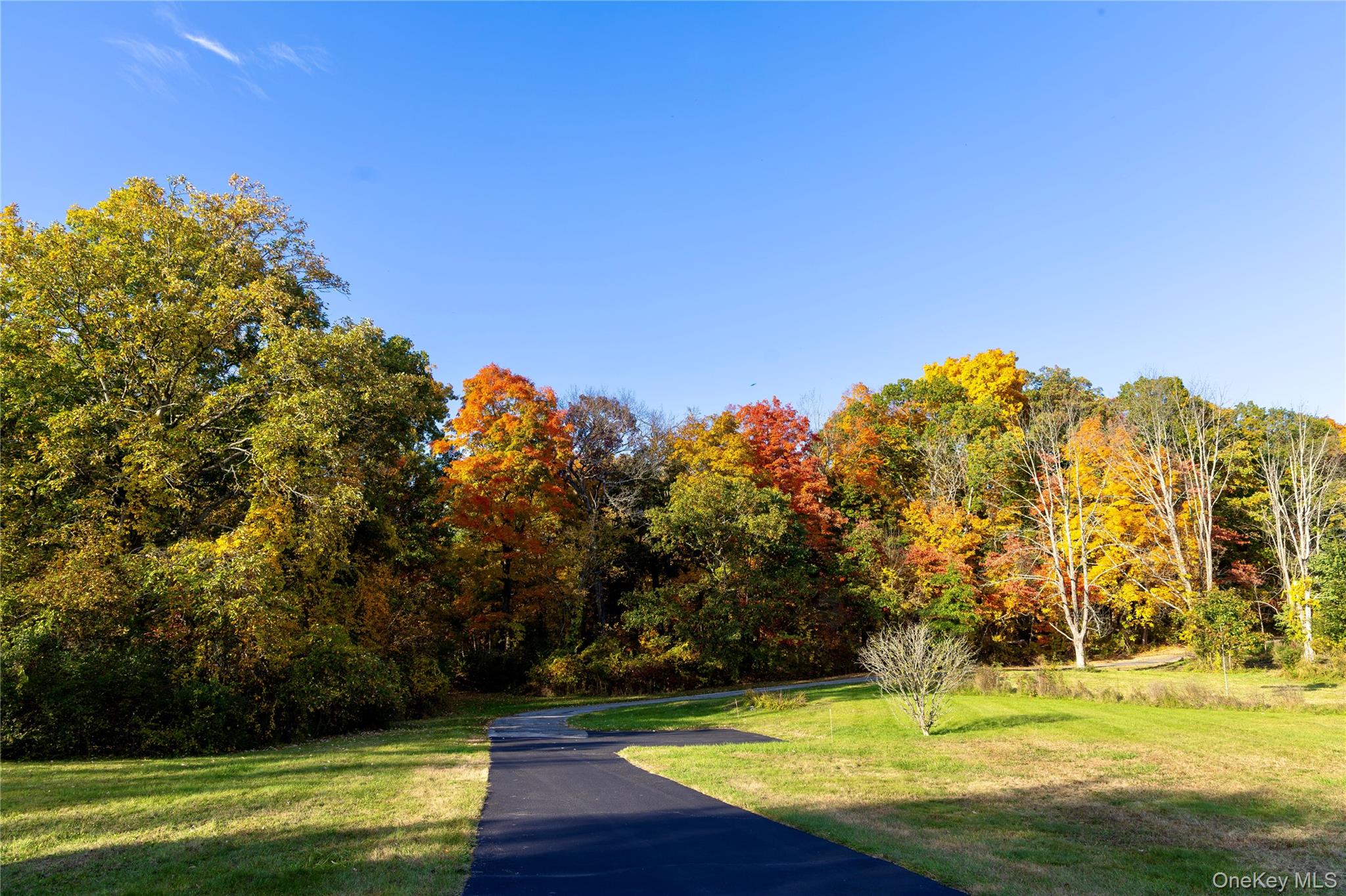 109 College Lane – For Sale photo 9