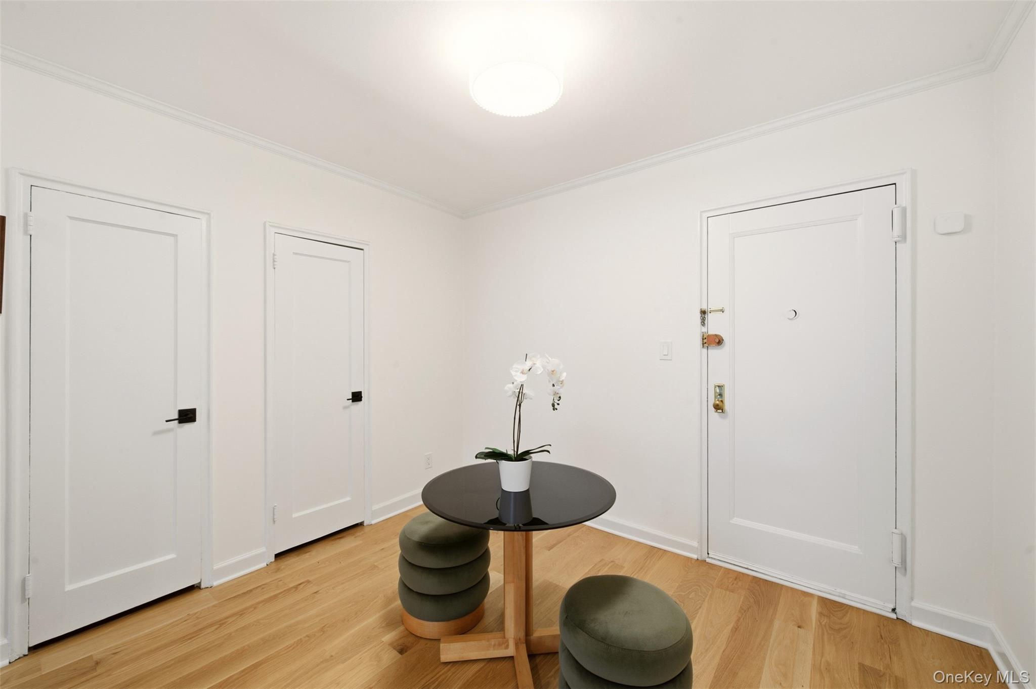 90 Schenck Ave, Unit 3M photo 7