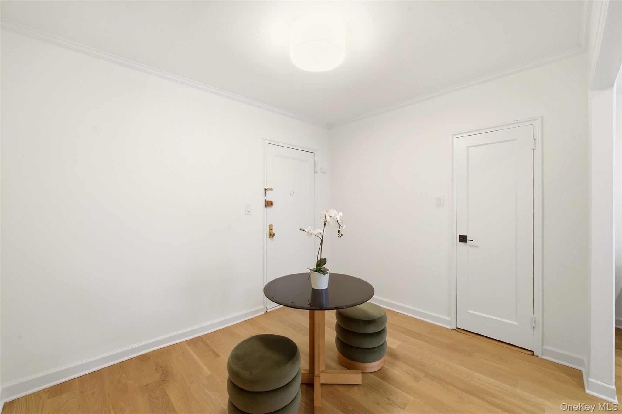 90 Schenck Ave, Unit 3M photo 6