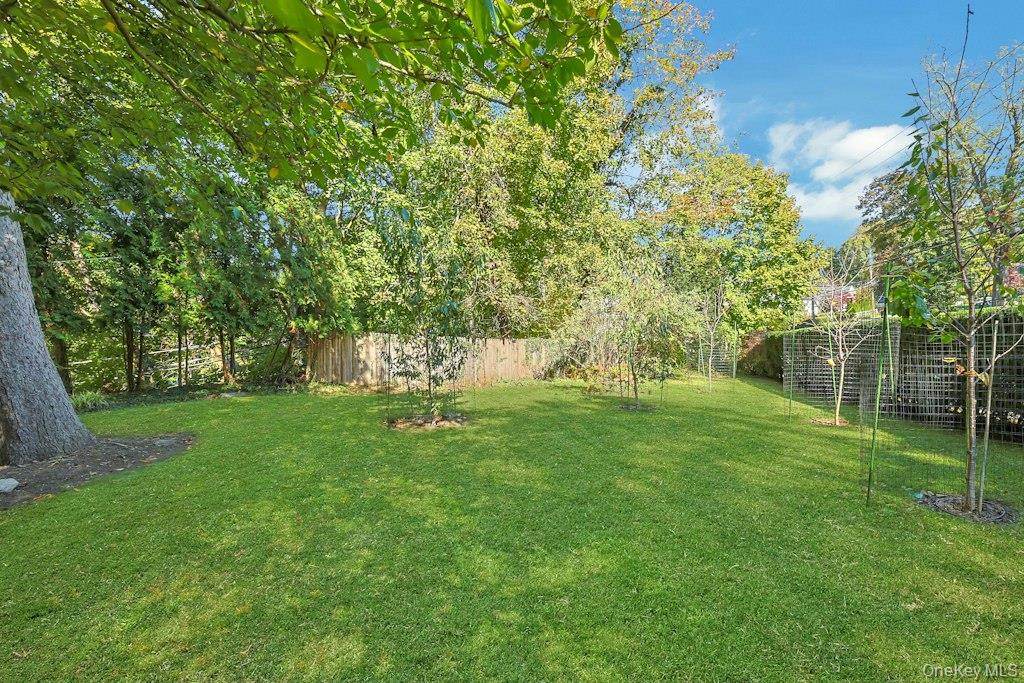 16 Locust Road – For Rent photo 39