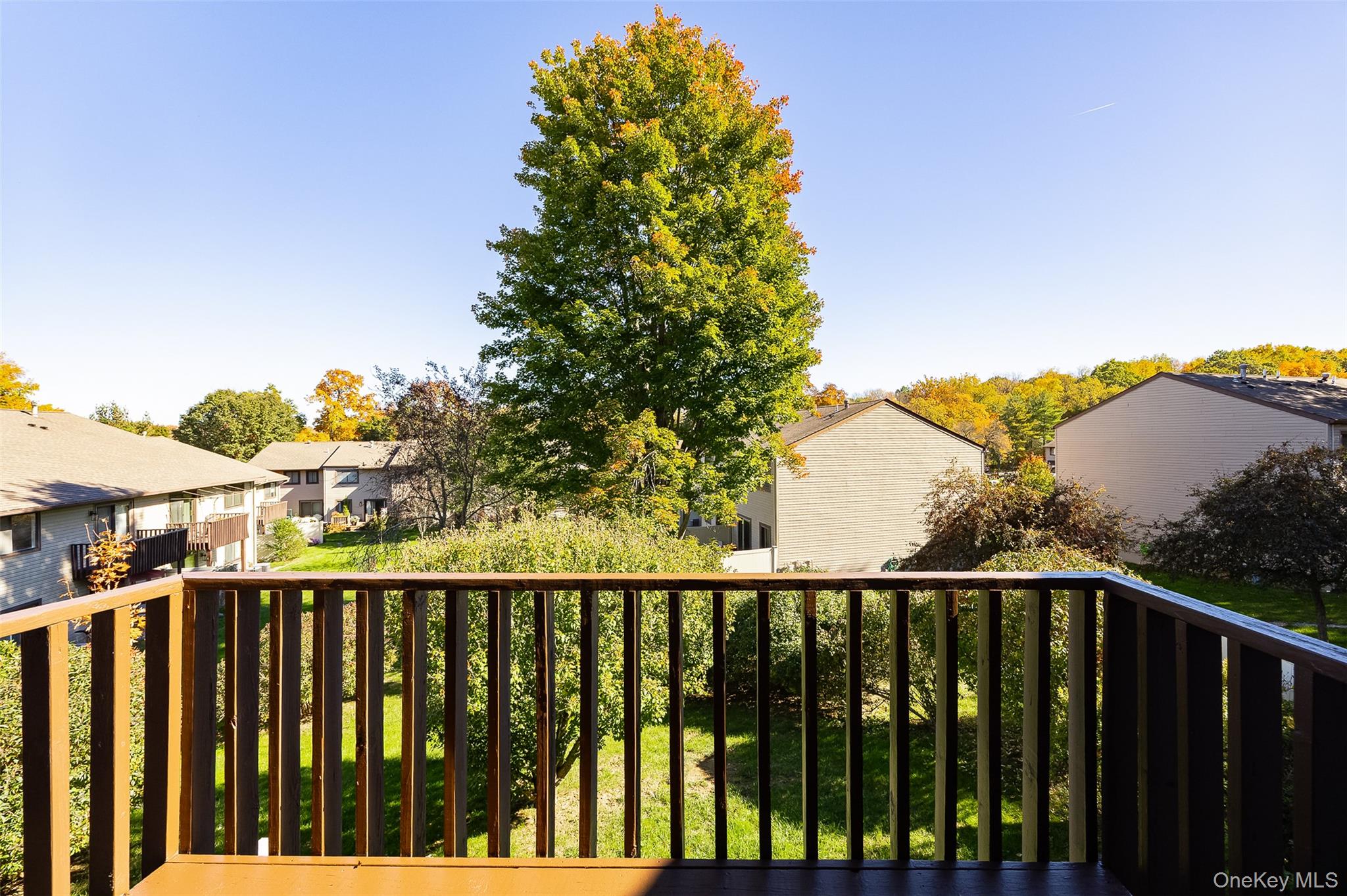 5 Downing Place, Unit D photo 4