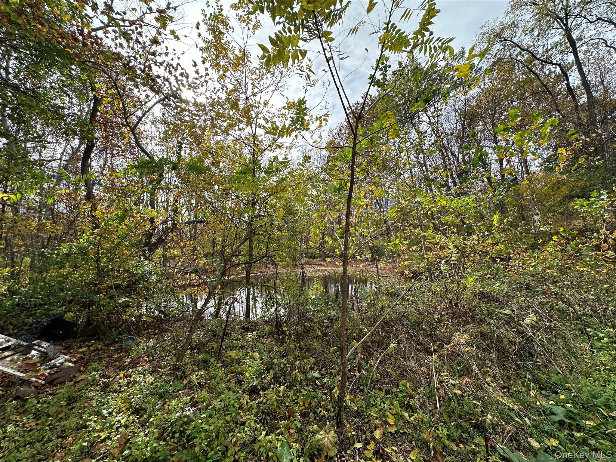 5150 Route 82 – For Sale photo 10