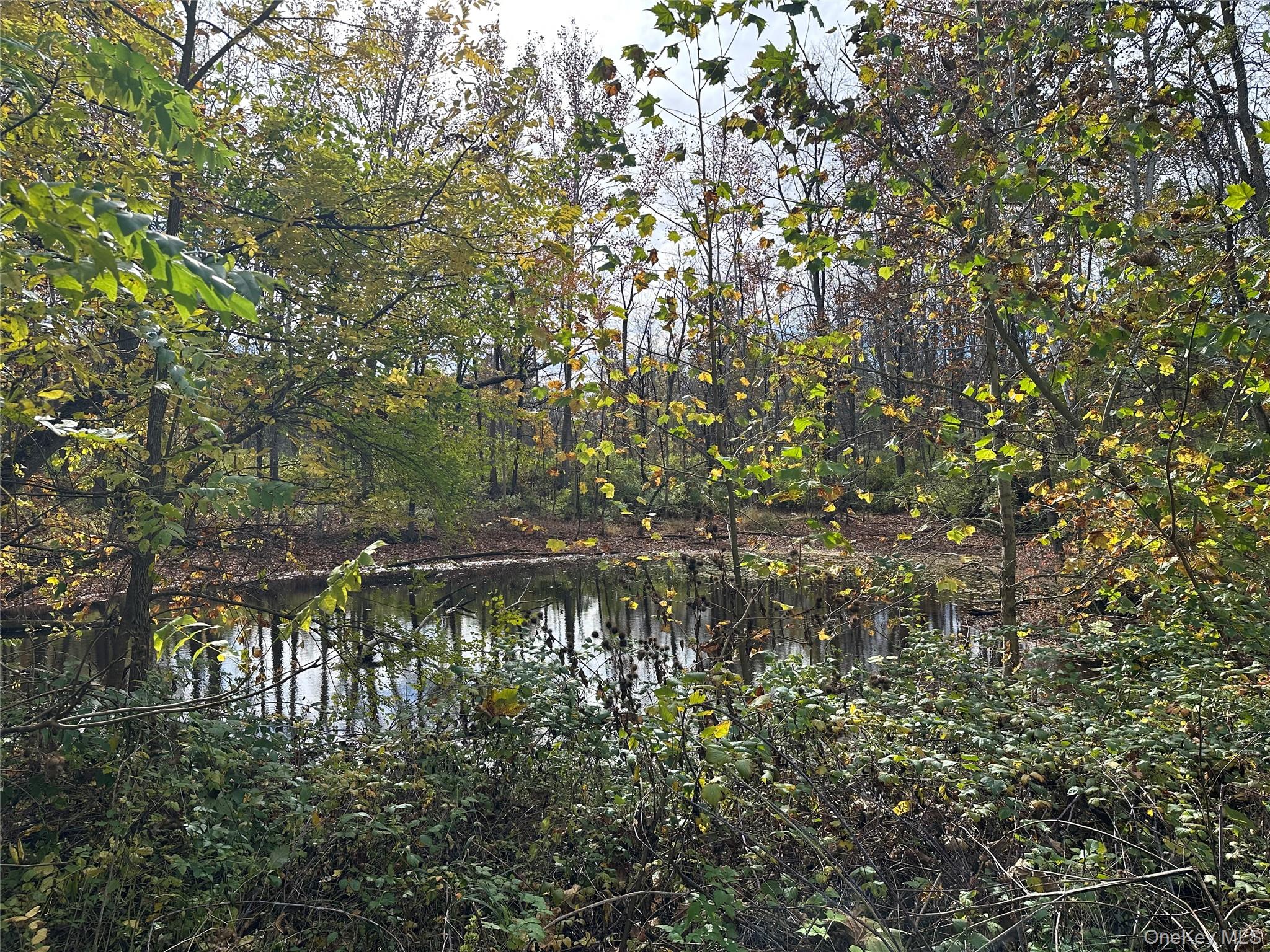 5150 Route 82 – For Sale photo 11
