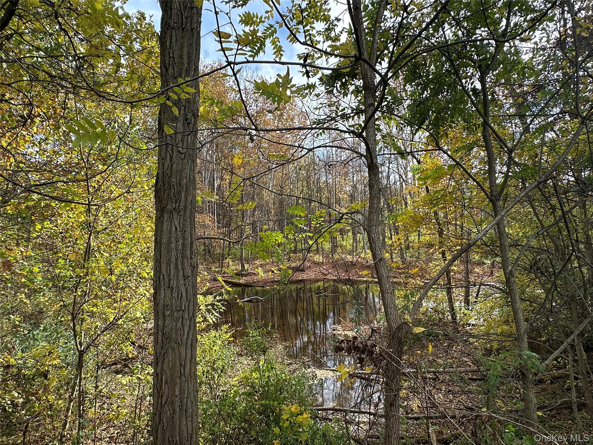 5150 Route 82 – For Sale photo 12