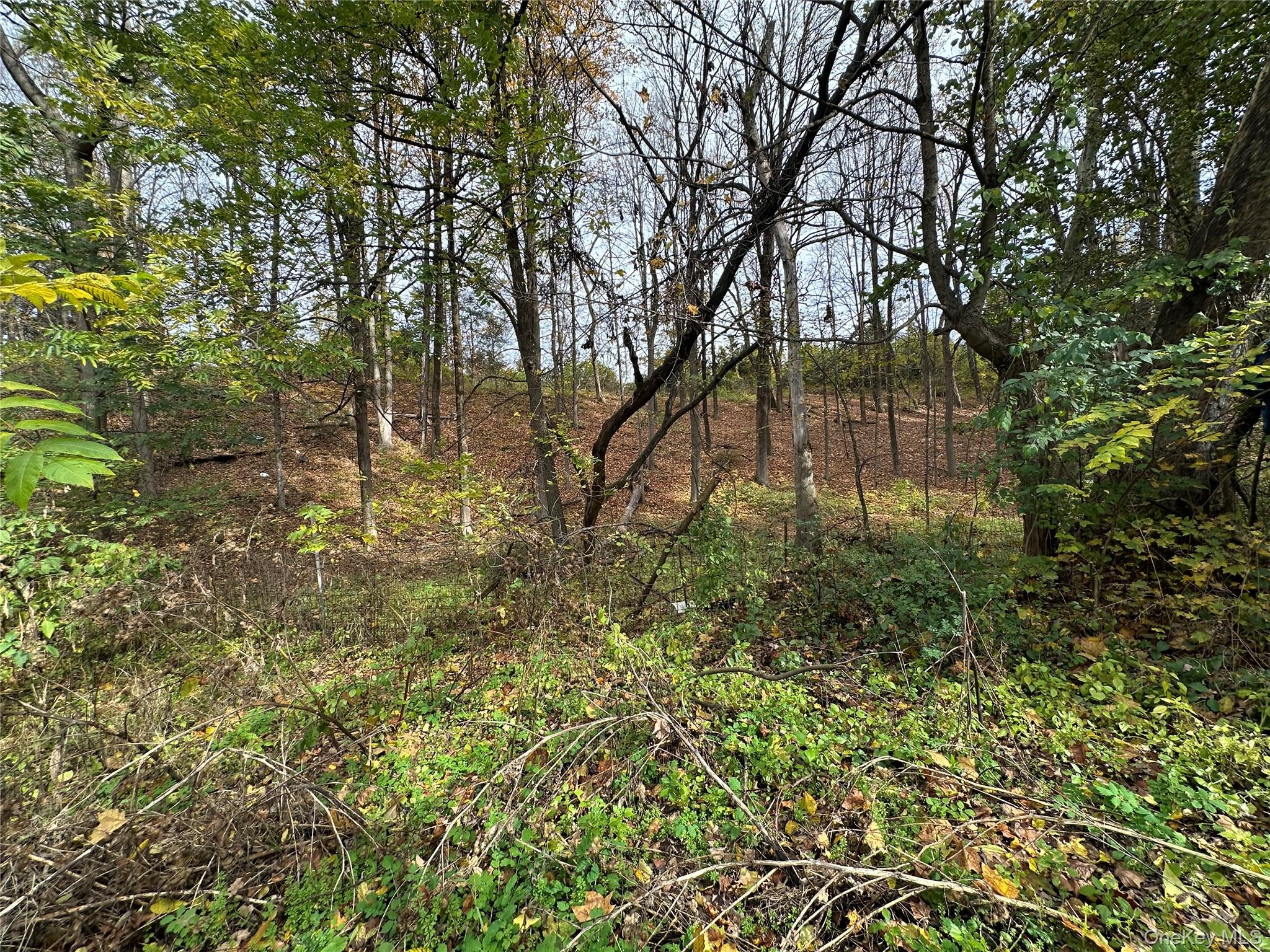 5150 Route 82 – For Sale photo 9