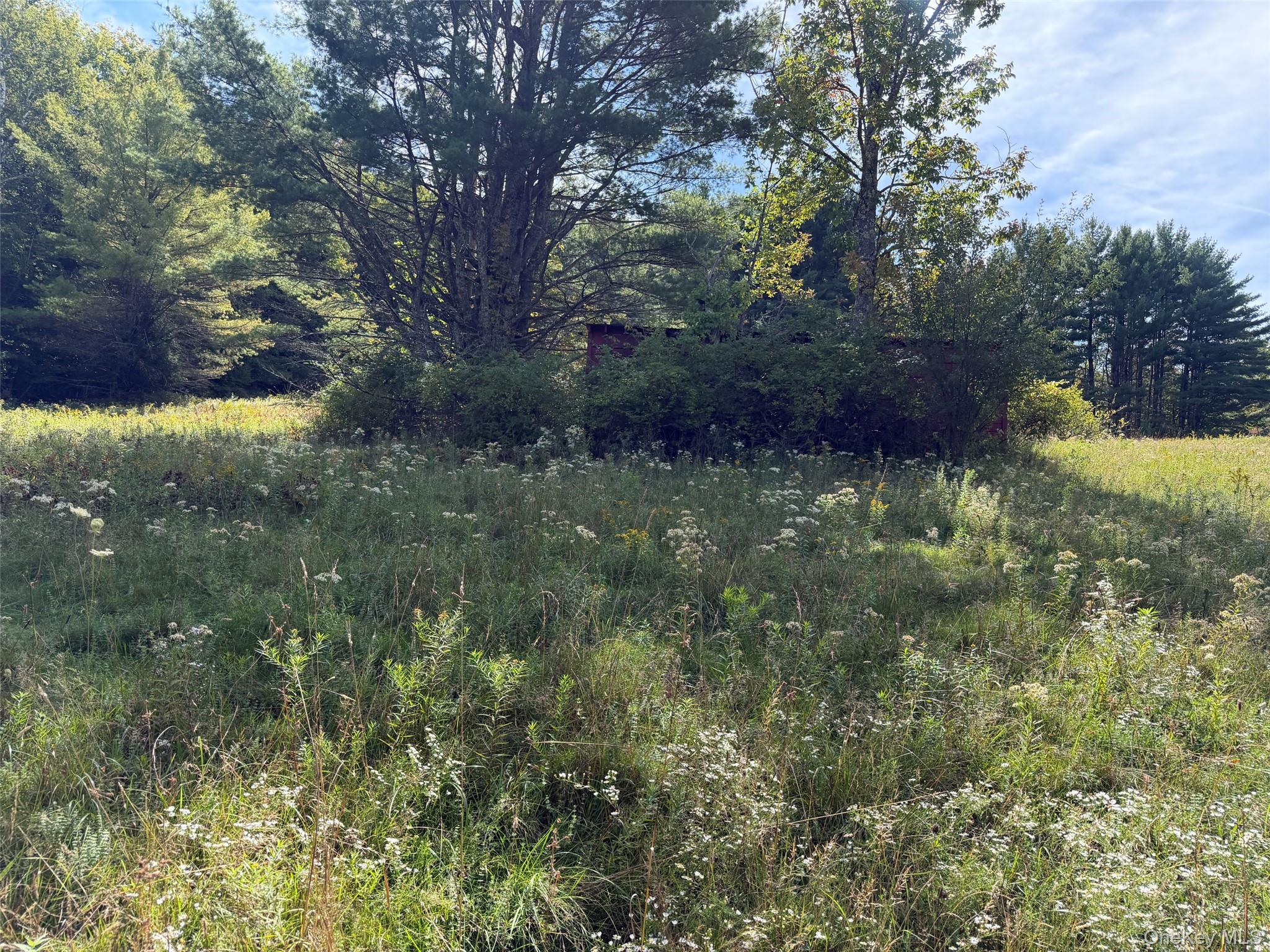 485 Sickler Road – For Sale photo 3