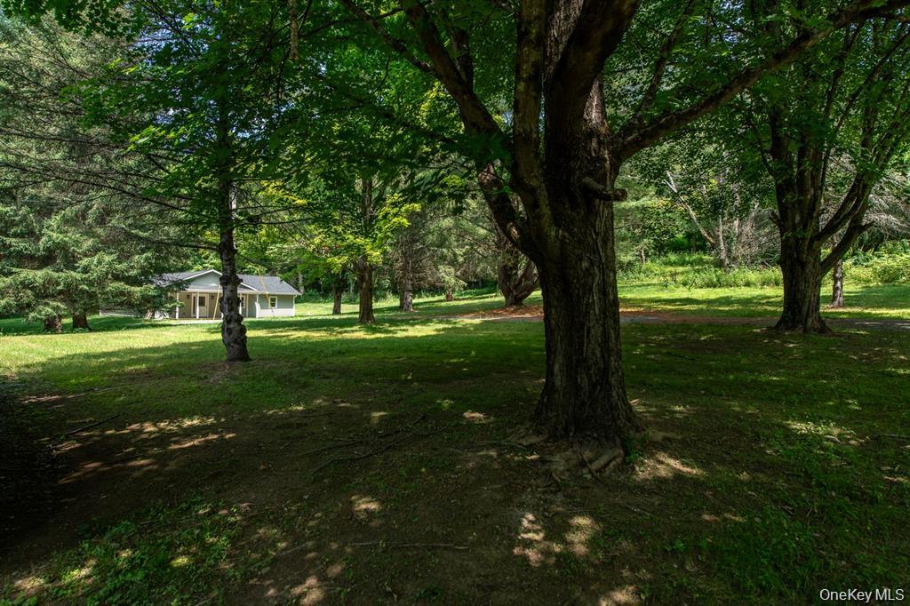 4523 Route 199 – For Sale photo 33