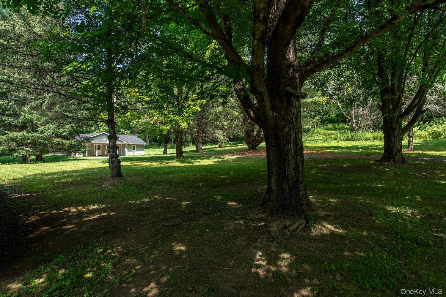 4523 Route 199 – For Sale photo 22