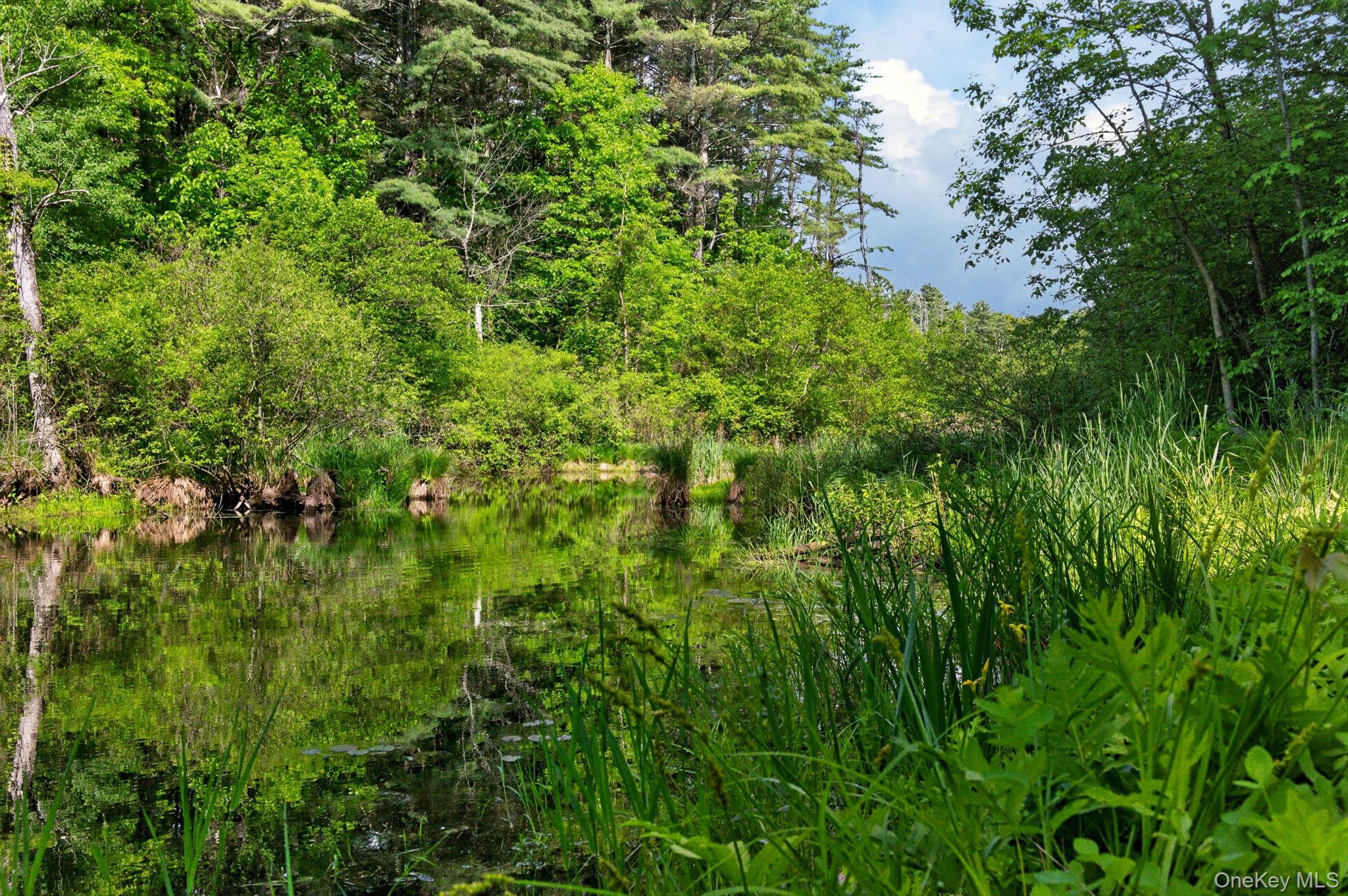 825 County Route 26 – For Sale photo 30