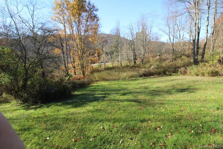 1494 Old Route 17 – For Sale photo 11