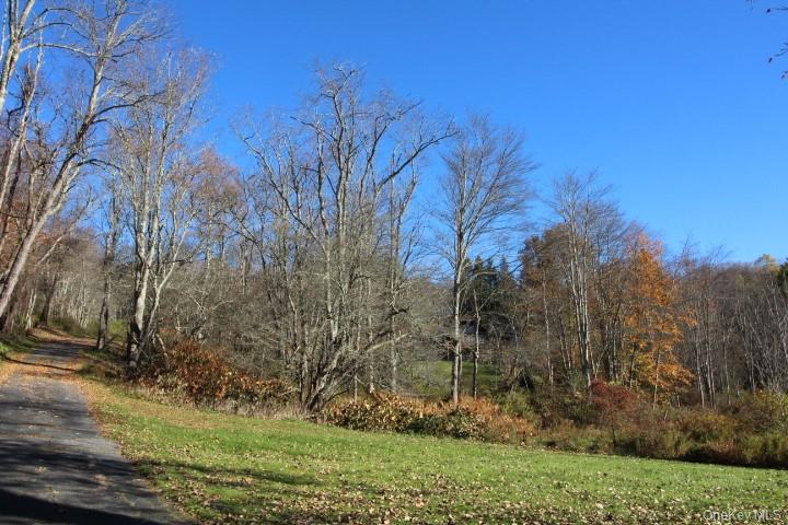 1494 Old Route 17 – For Sale photo 3