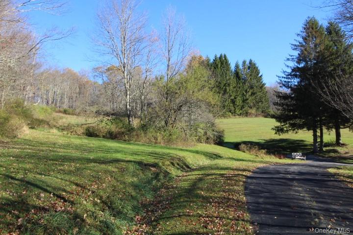 1494 Old Route 17 – For Sale photo 4