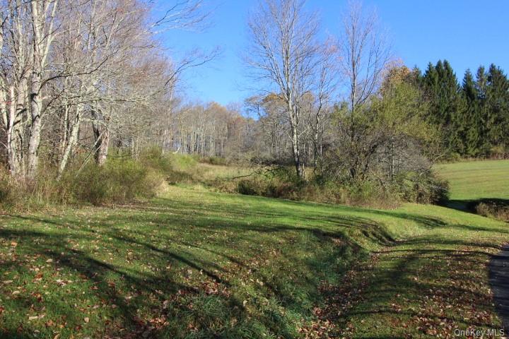 1494 Old Route 17 – For Sale photo 5