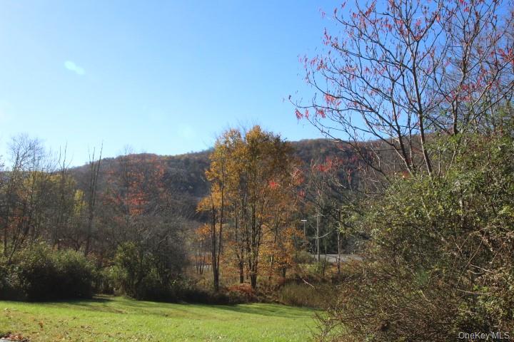 1494 Old Route 17 – For Sale photo 18