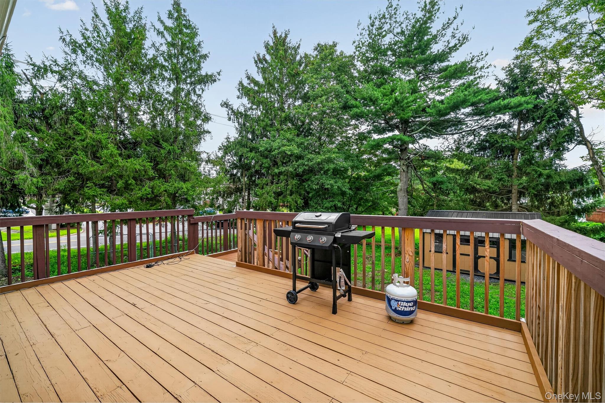 3 Ben Lomond Drive – For Sale photo 34