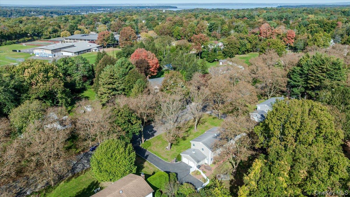 7 Polly Drive – For Sale photo 34