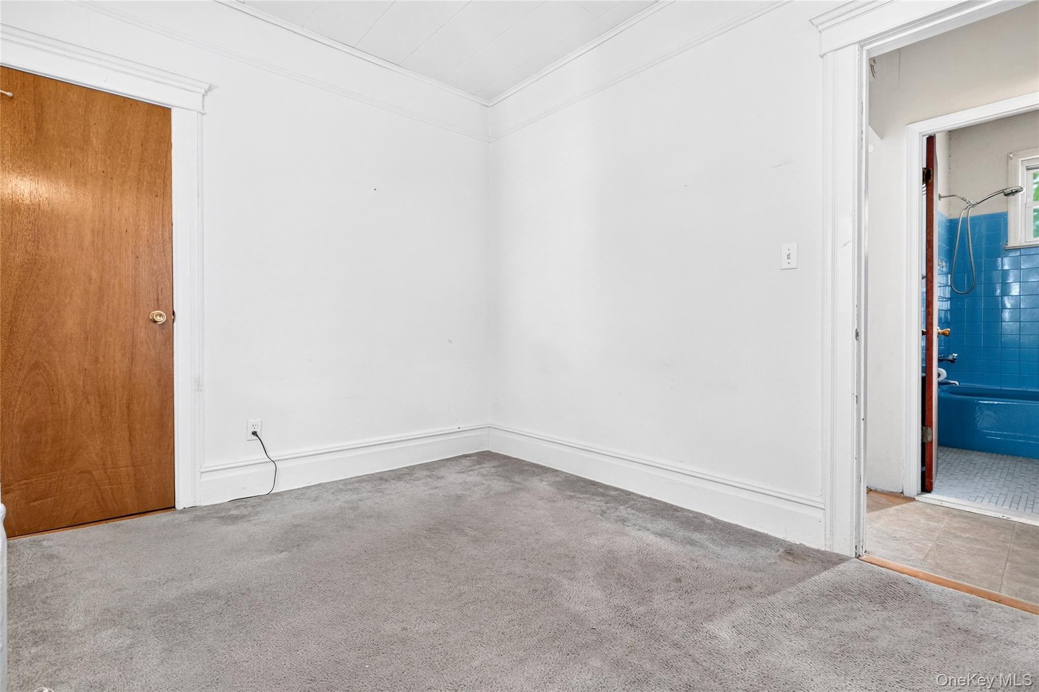 48 Roosevelt Street – For Sale photo 21